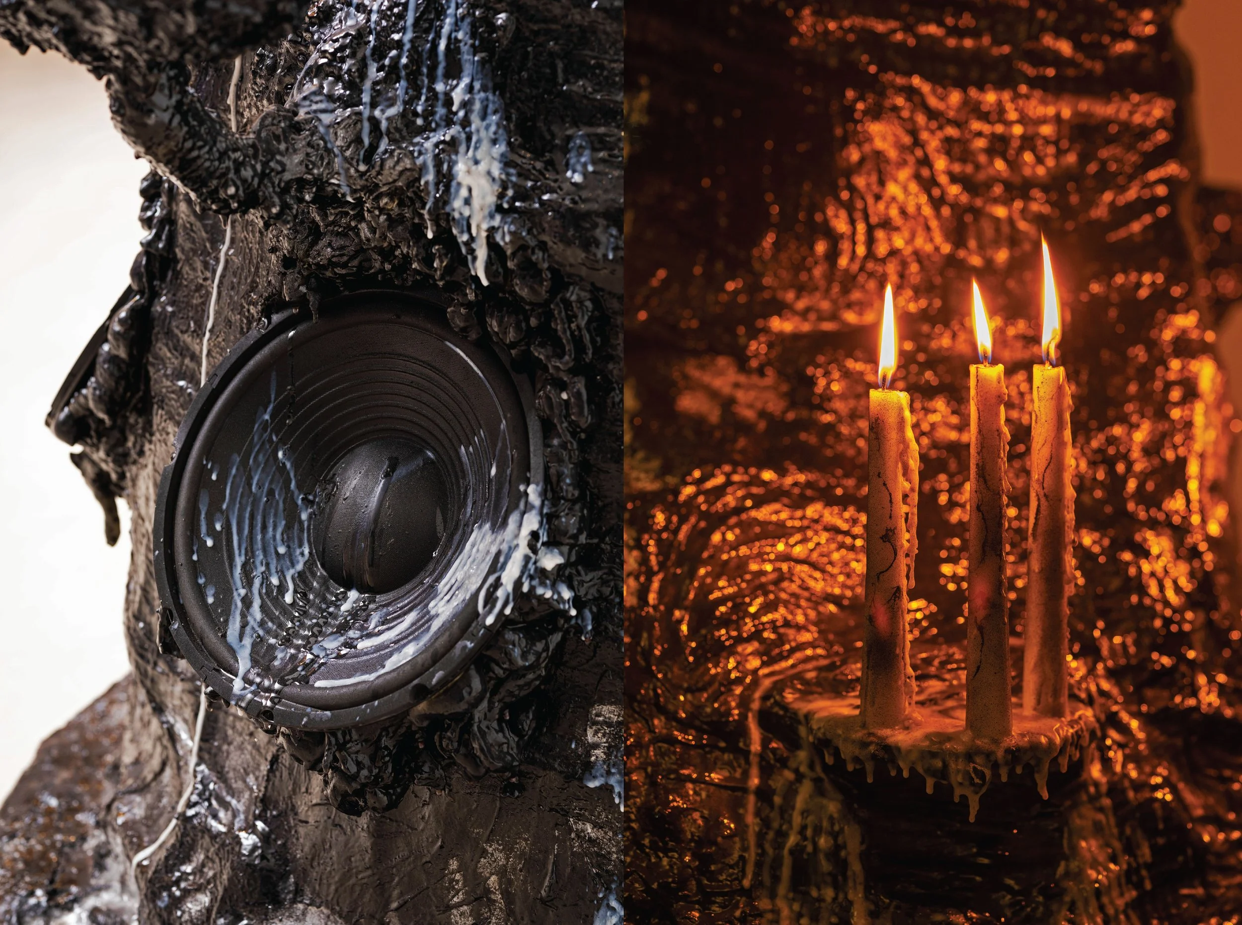 that which frightens us_essay_ABSU DETAIL.jpg