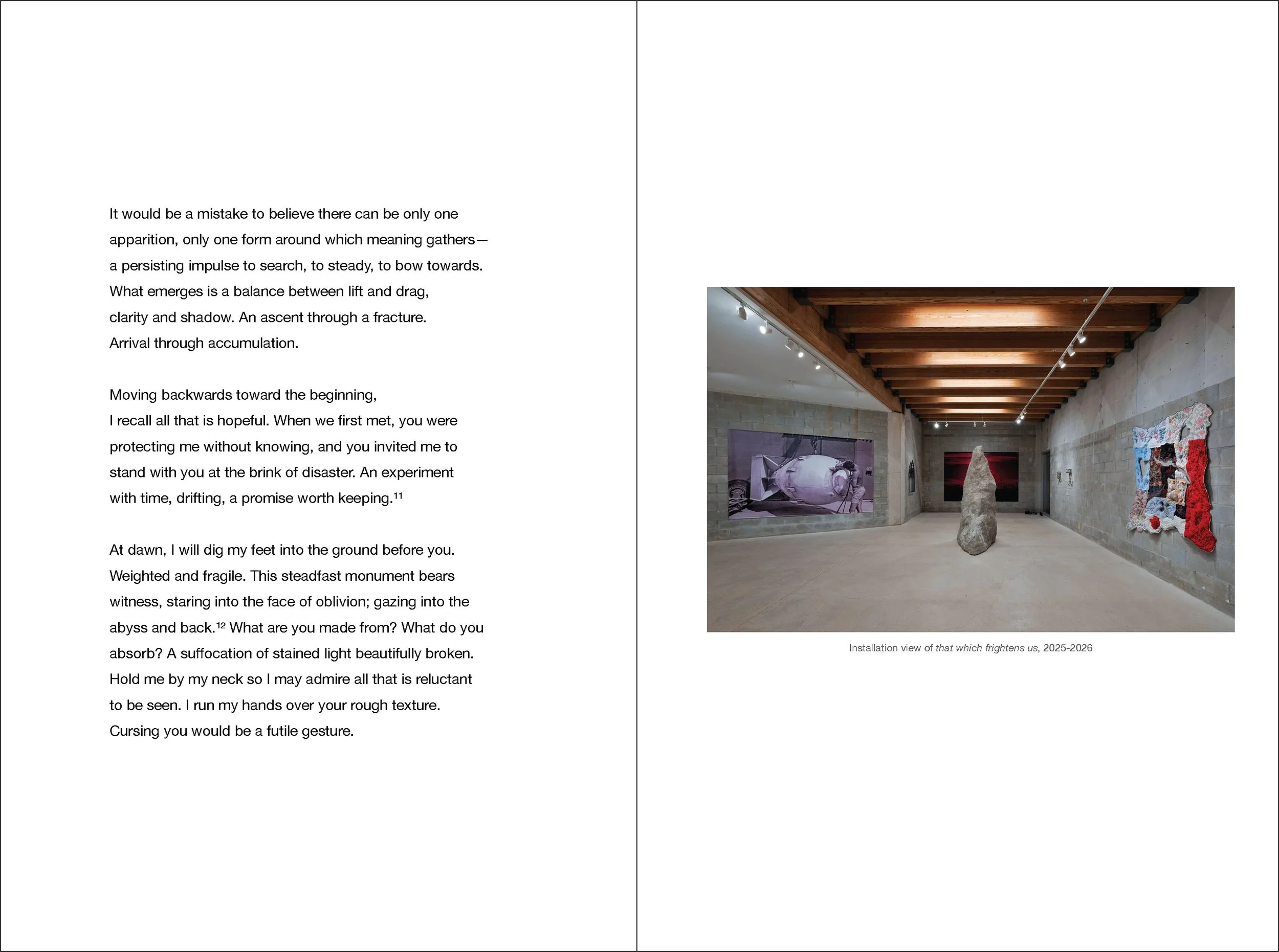 that which frightens us_essay_apparitions.jpg