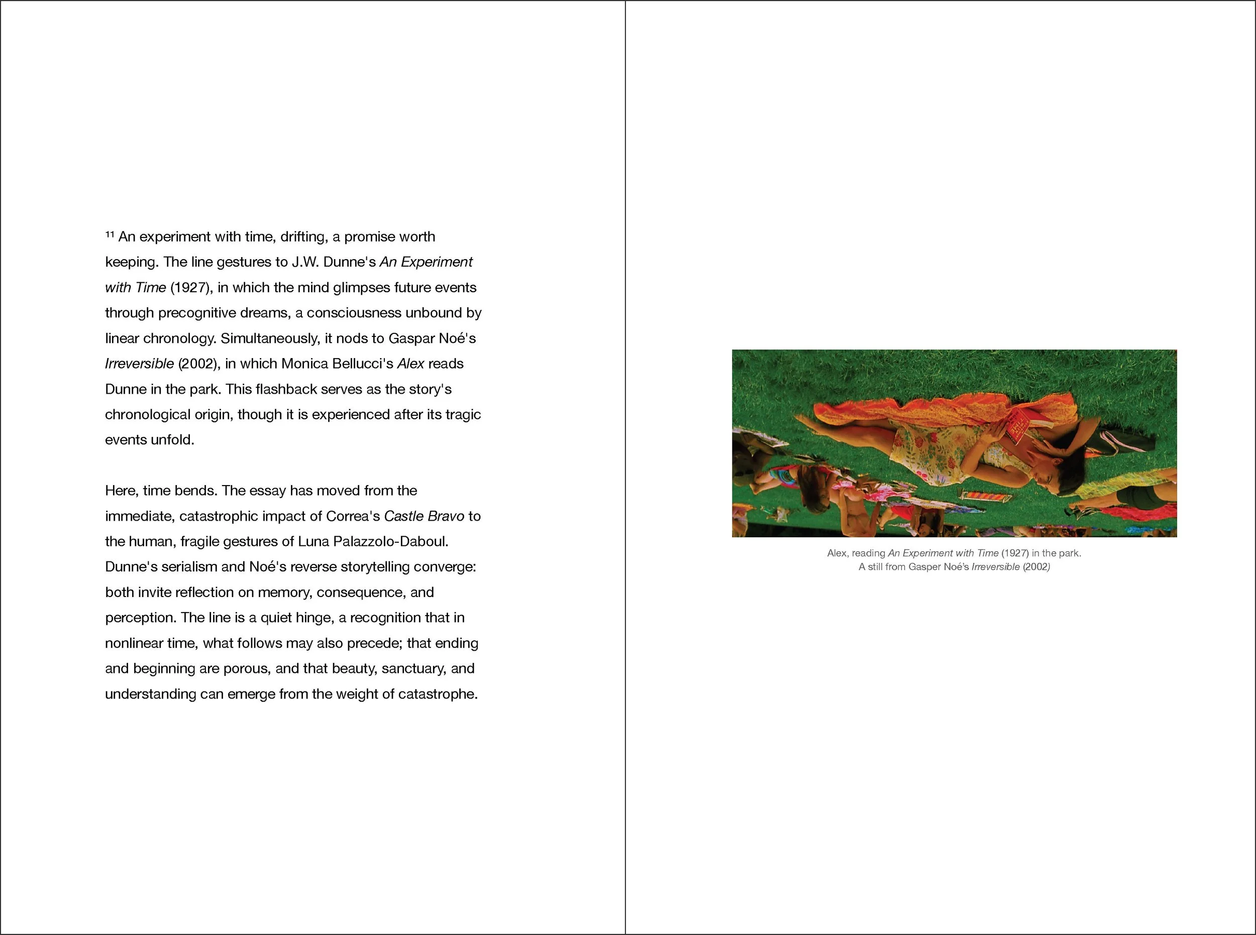 that which frightens us_essay_irreversable.jpg