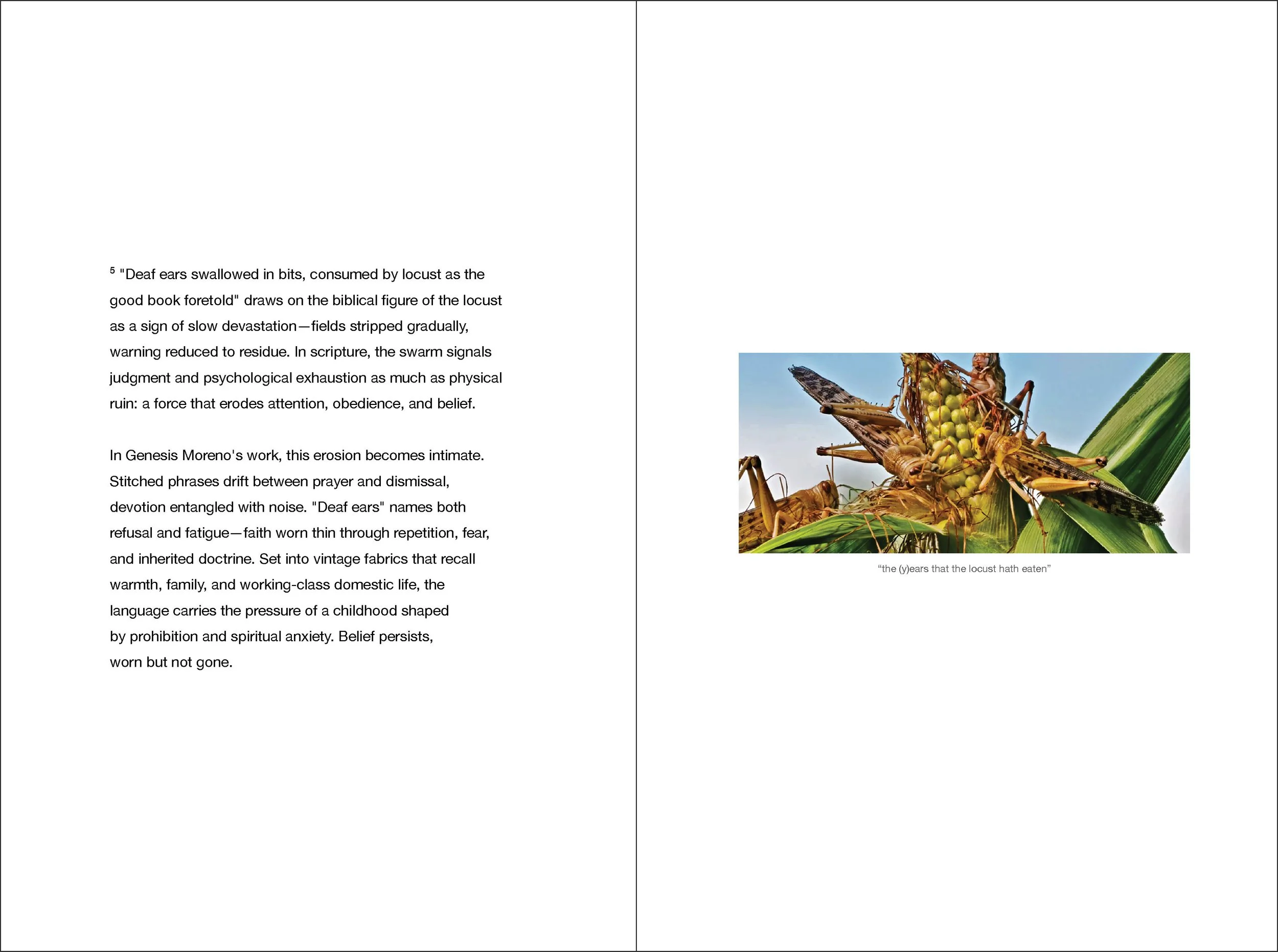 that which frightens us_essay_locust.jpg