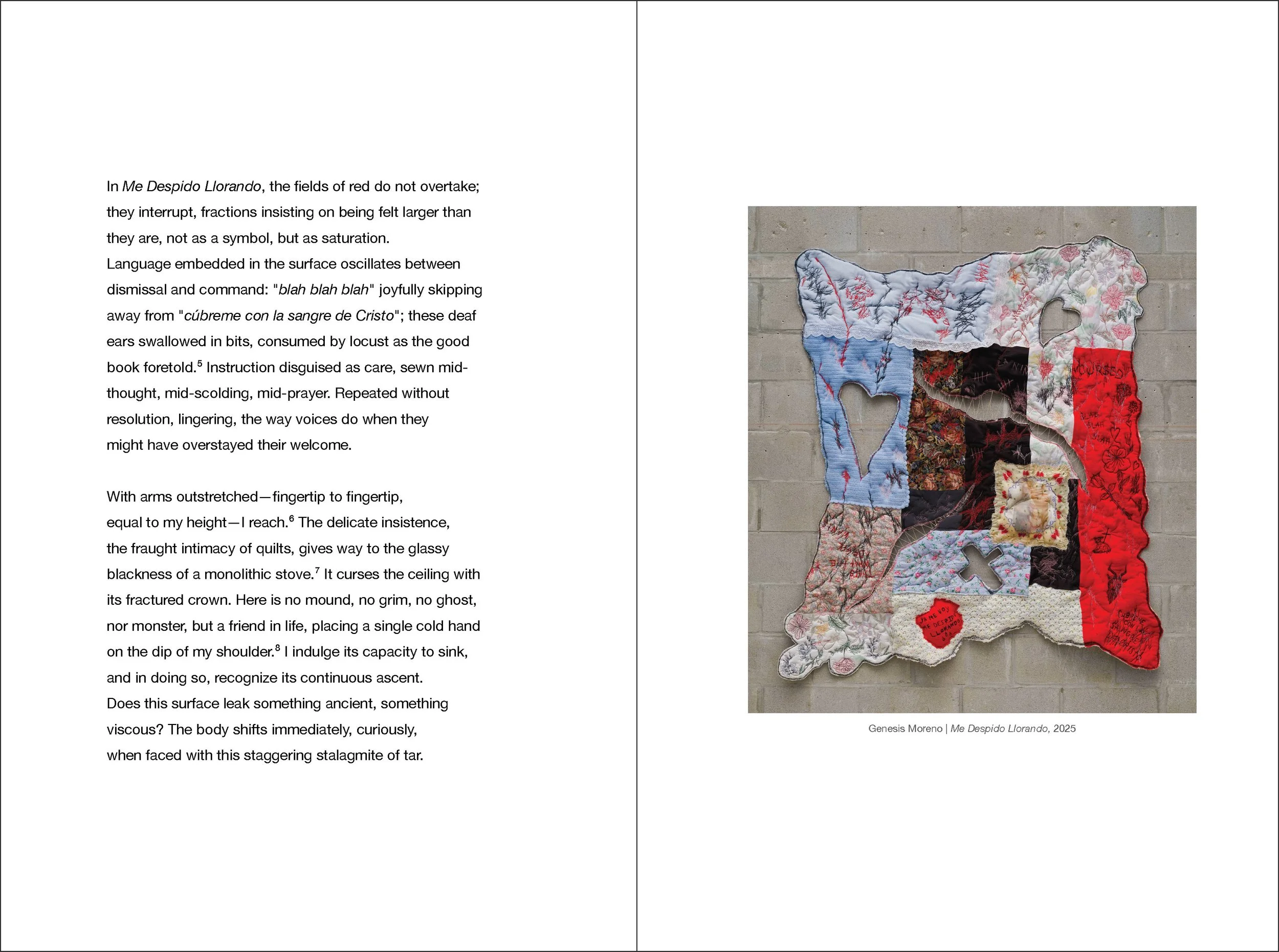 that which frightens us_essay_Me Despido.jpg