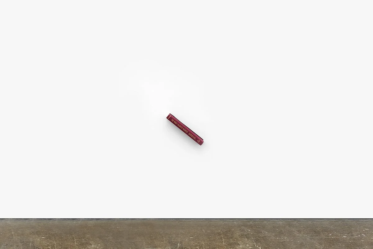 The War I Always Wanted Full View.jpg