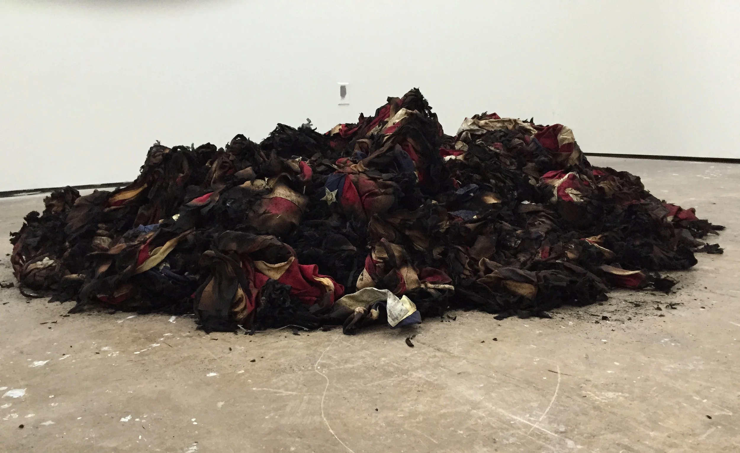 COLE STERNBERG_FLAGS1.jpeg