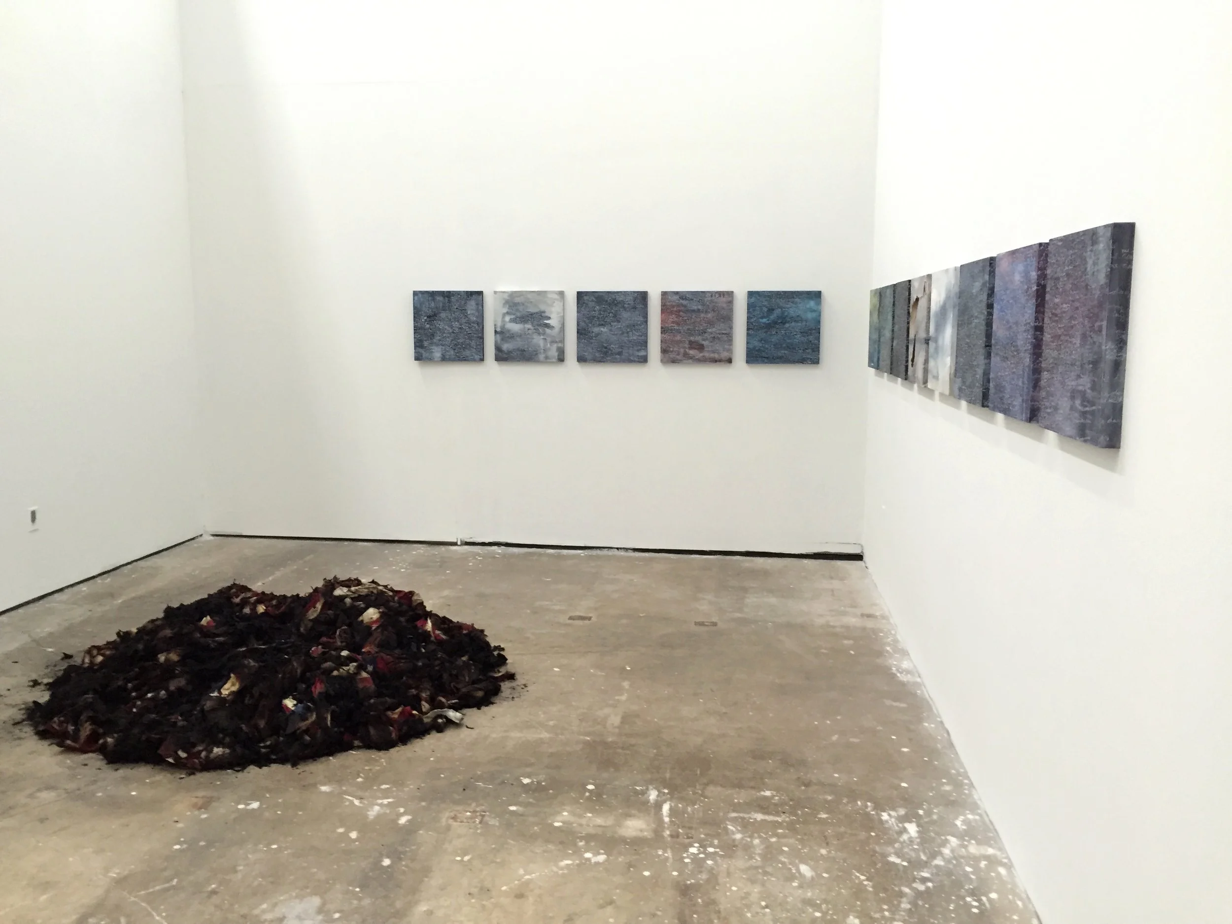 COLE STERNBERG_FLAGS2.jpeg