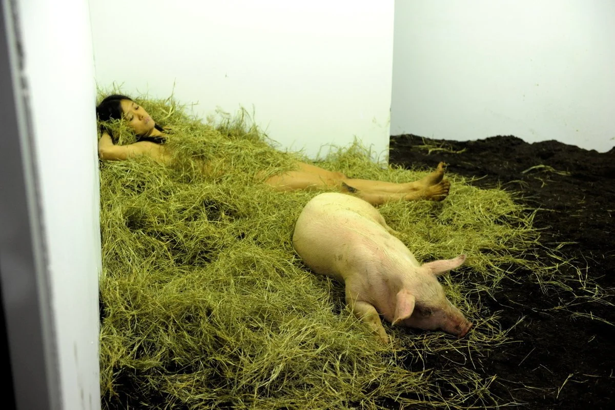 Miru Kim_Martha Cooper_04_Primary.jpeg