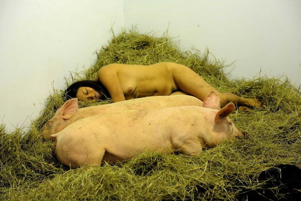 Miru Kim_Martha Cooper_05_Primary.jpeg