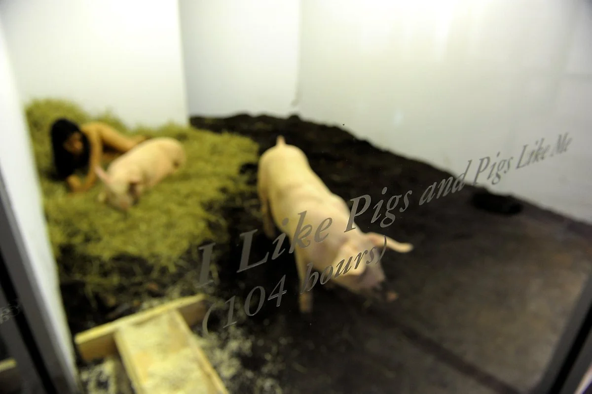 Miru Kim_Martha Cooper_08_Primary.jpeg