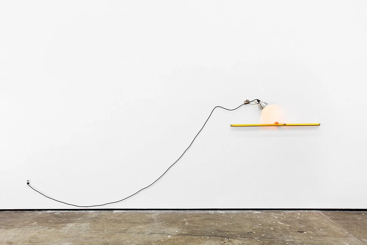 Bee and the Hot Lamp 4.jpg