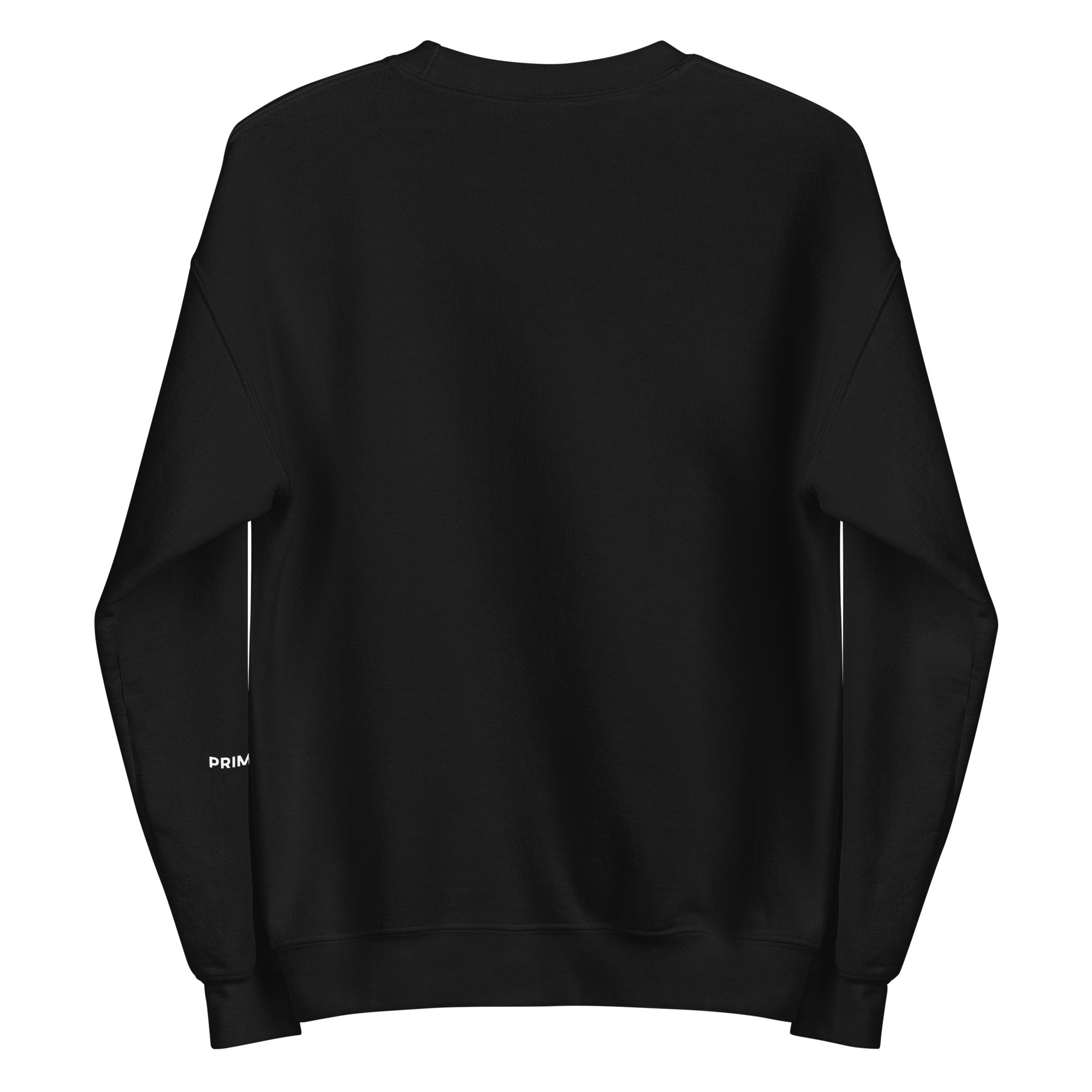 unisex-crew-neck-sweatshirt-black-back-6a49902ff2167.png
