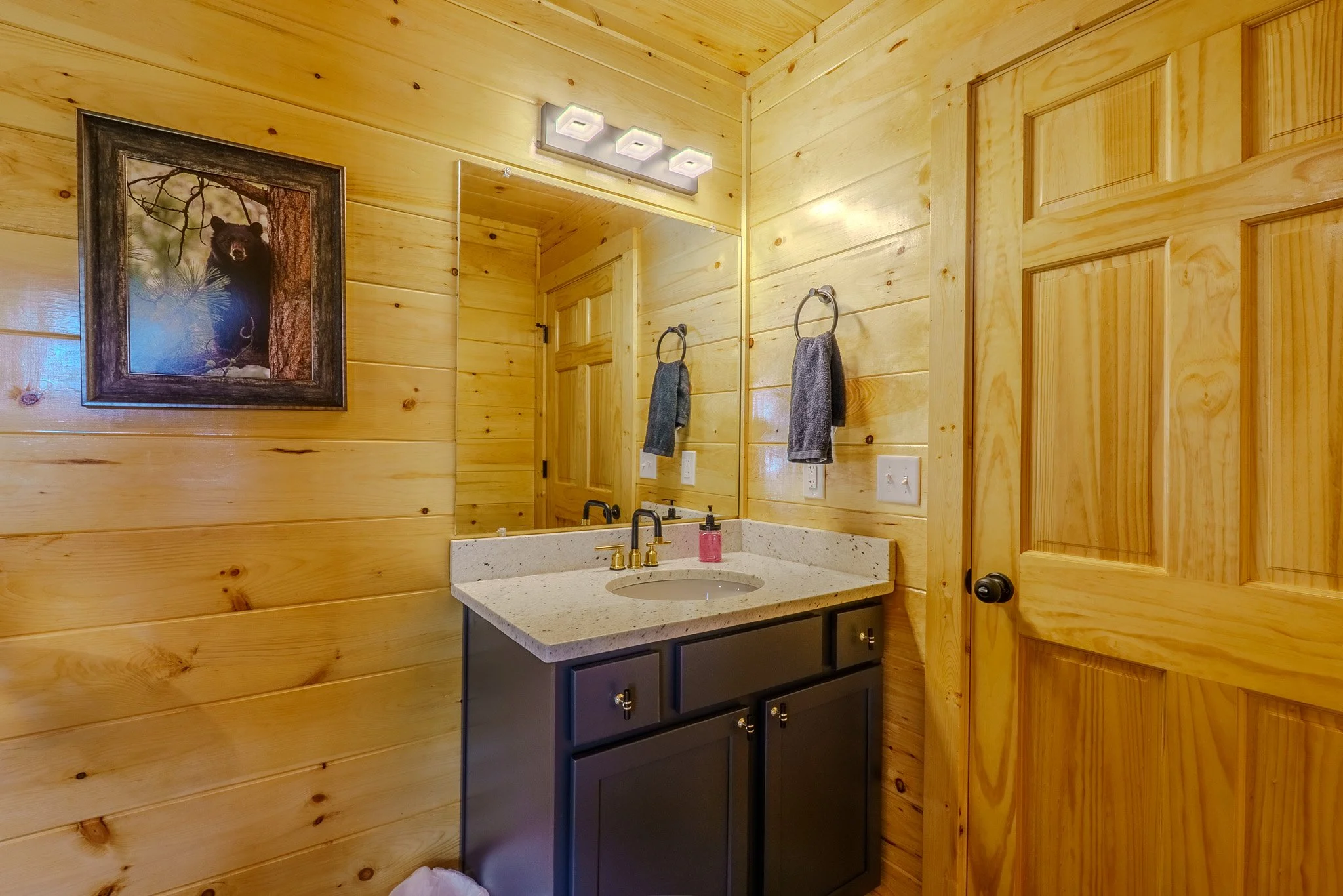 Bathroom with wooden walls, a mirror, vanity with a grey cabinet, a soap dispenser, and a framed picture of a bear