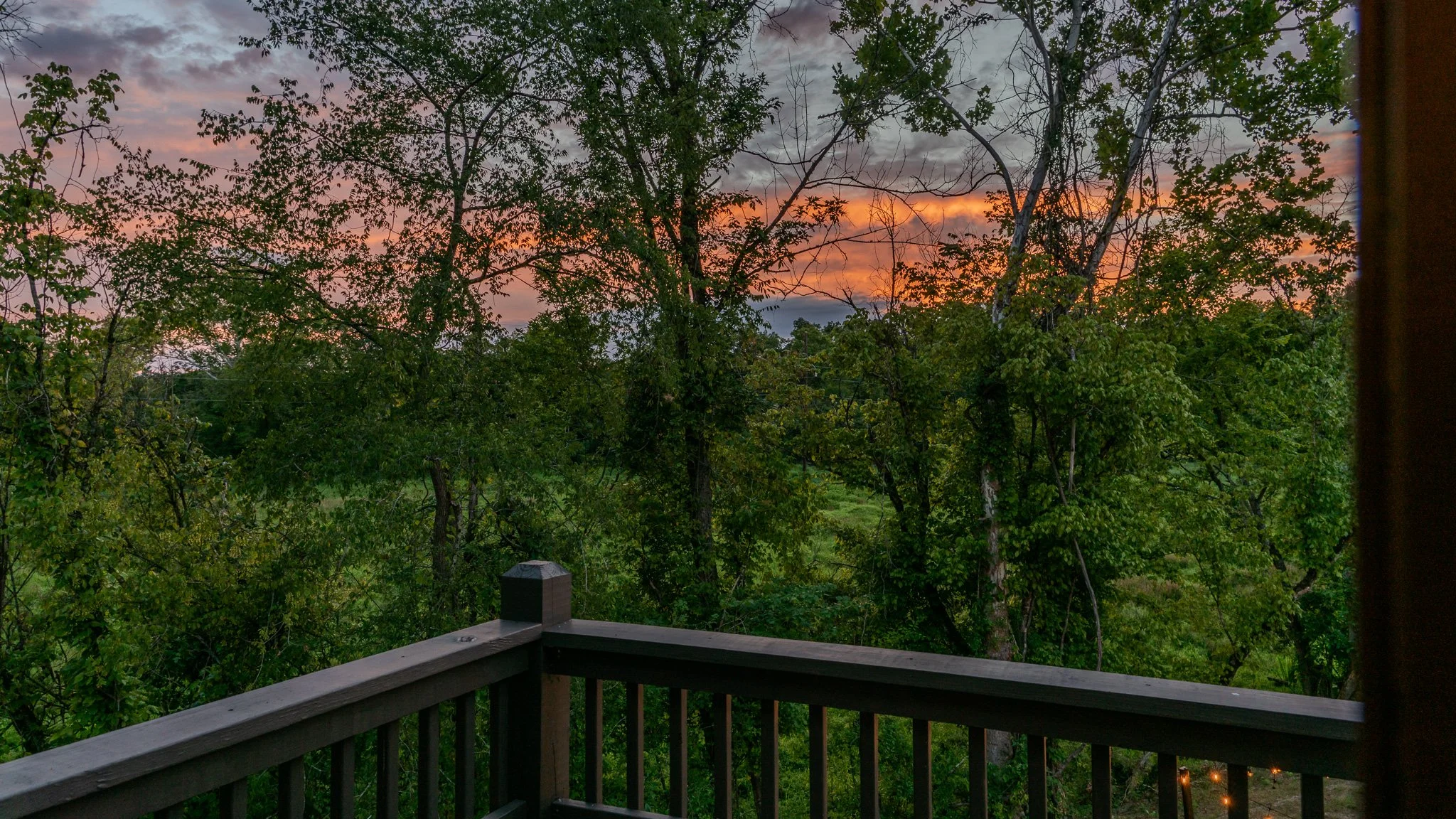 View of treetops and colorful sunset sky from a balcony with a railing
