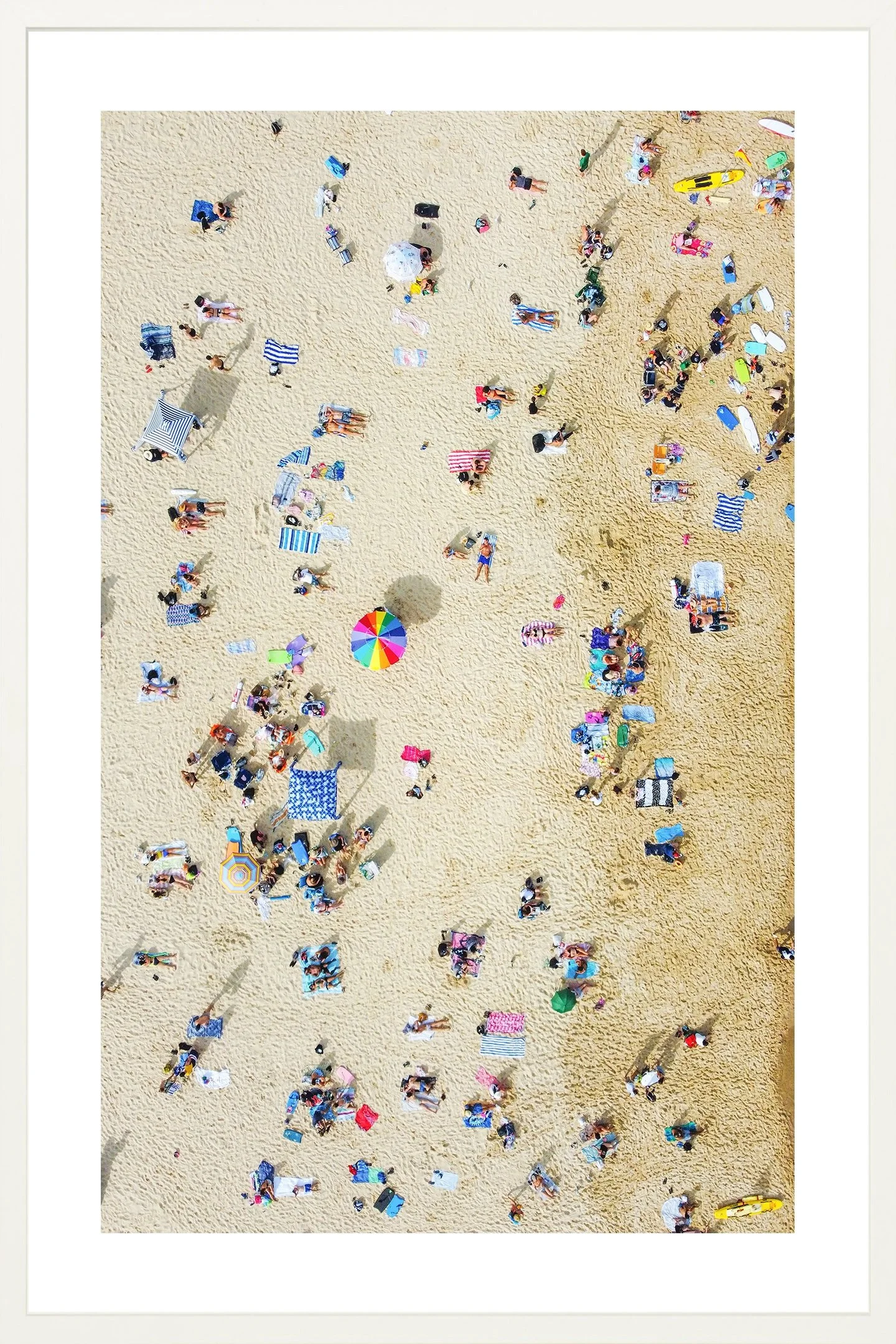 beachbumsw.jpg