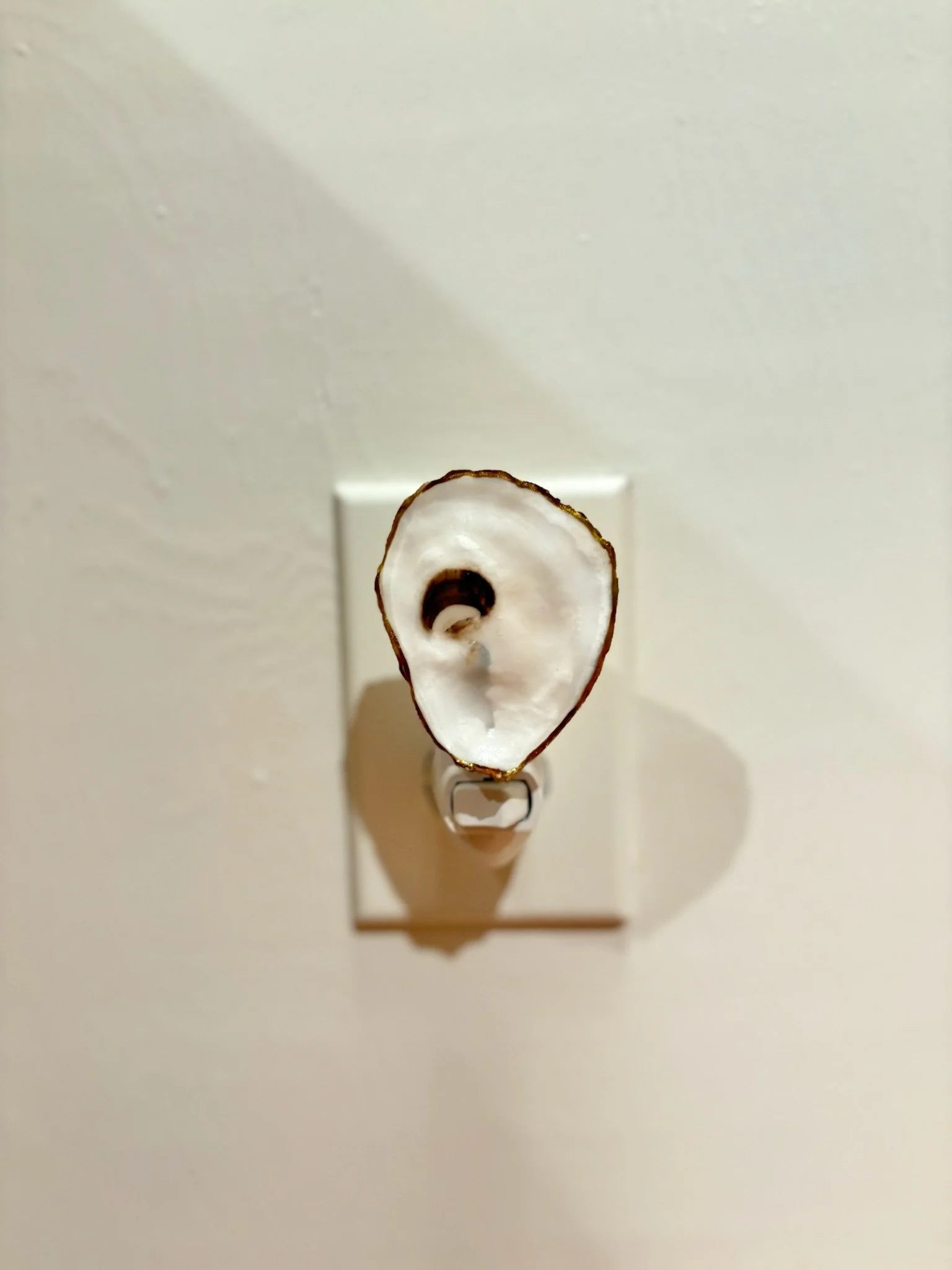 The Lowcountry Glow Night Light