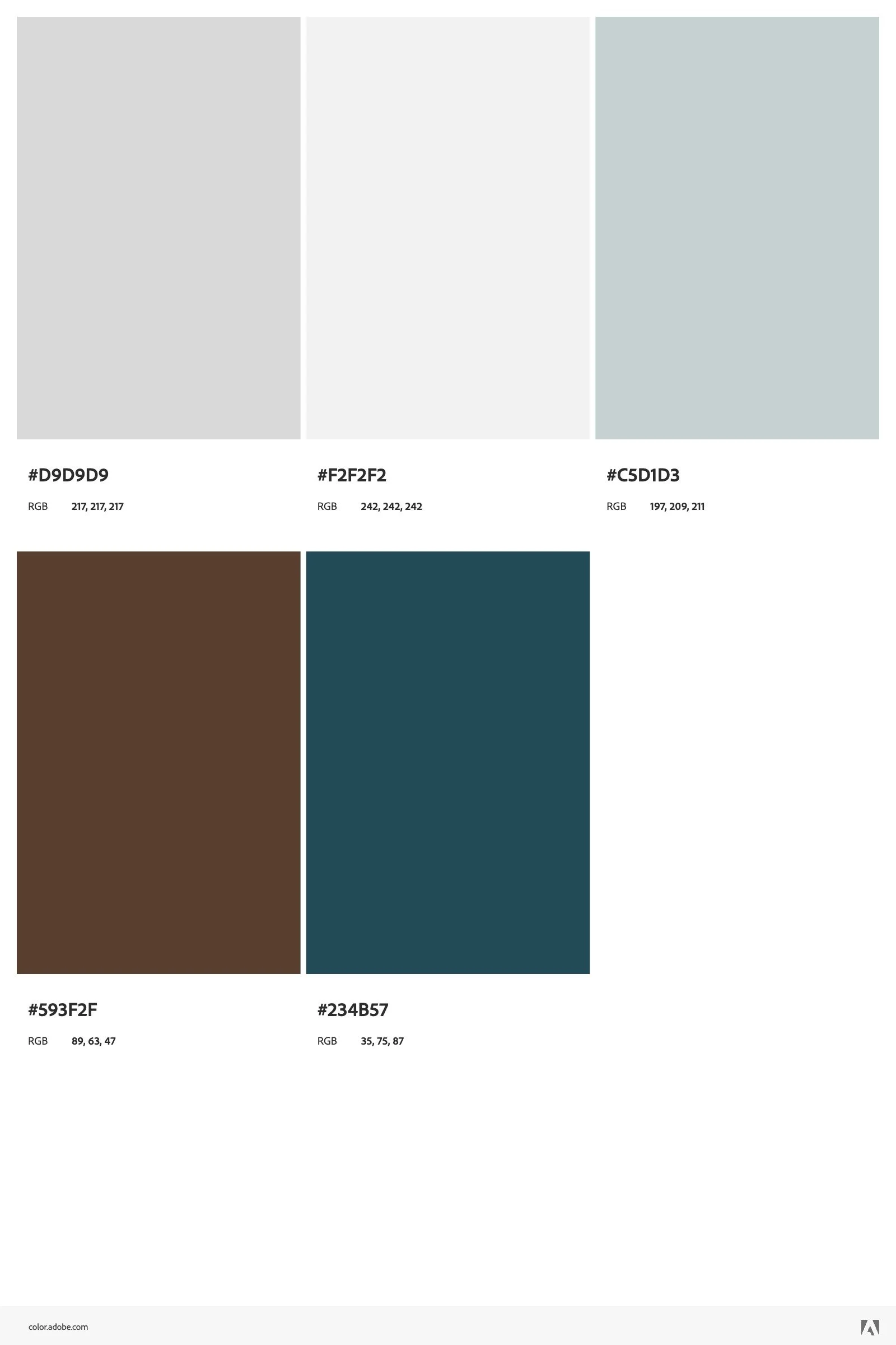 AdobeColor-color theme_Screenshot 2025-01-13 at 1 (3).jpeg