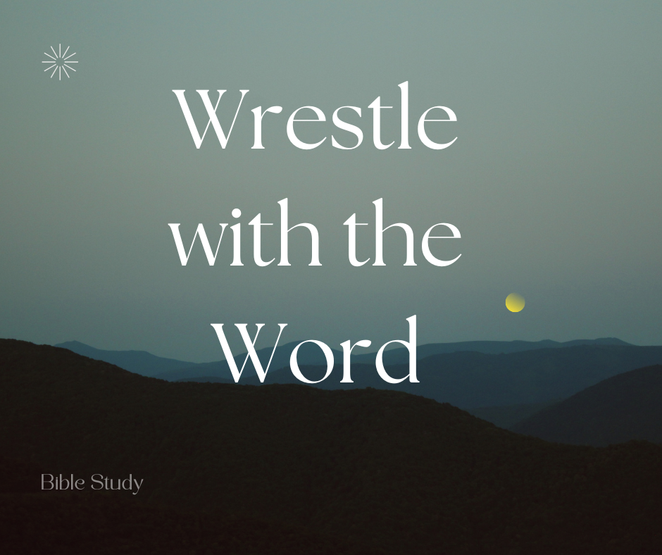 Cover image for a Bible study titled 'Wrestle with the Word'. The background features a mountainous landscape with a moon or planet in the sky and minimalist decorative elements.