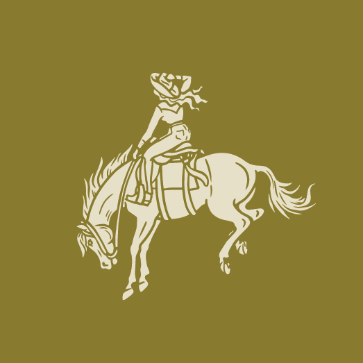 A stylized, simplified illustration of a woman in historical attire riding a horse, with a solid background.
