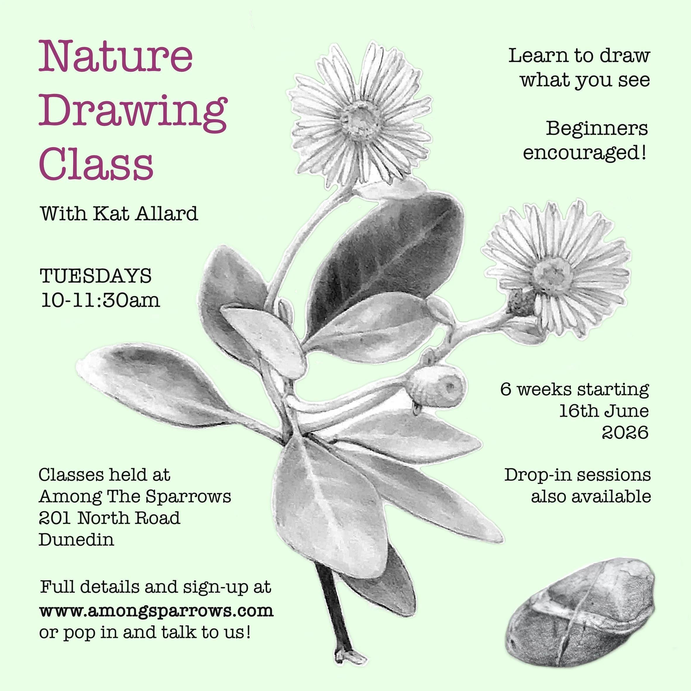 WORKSHOP - Nature Drawing Class with Kat Allard from 16th June