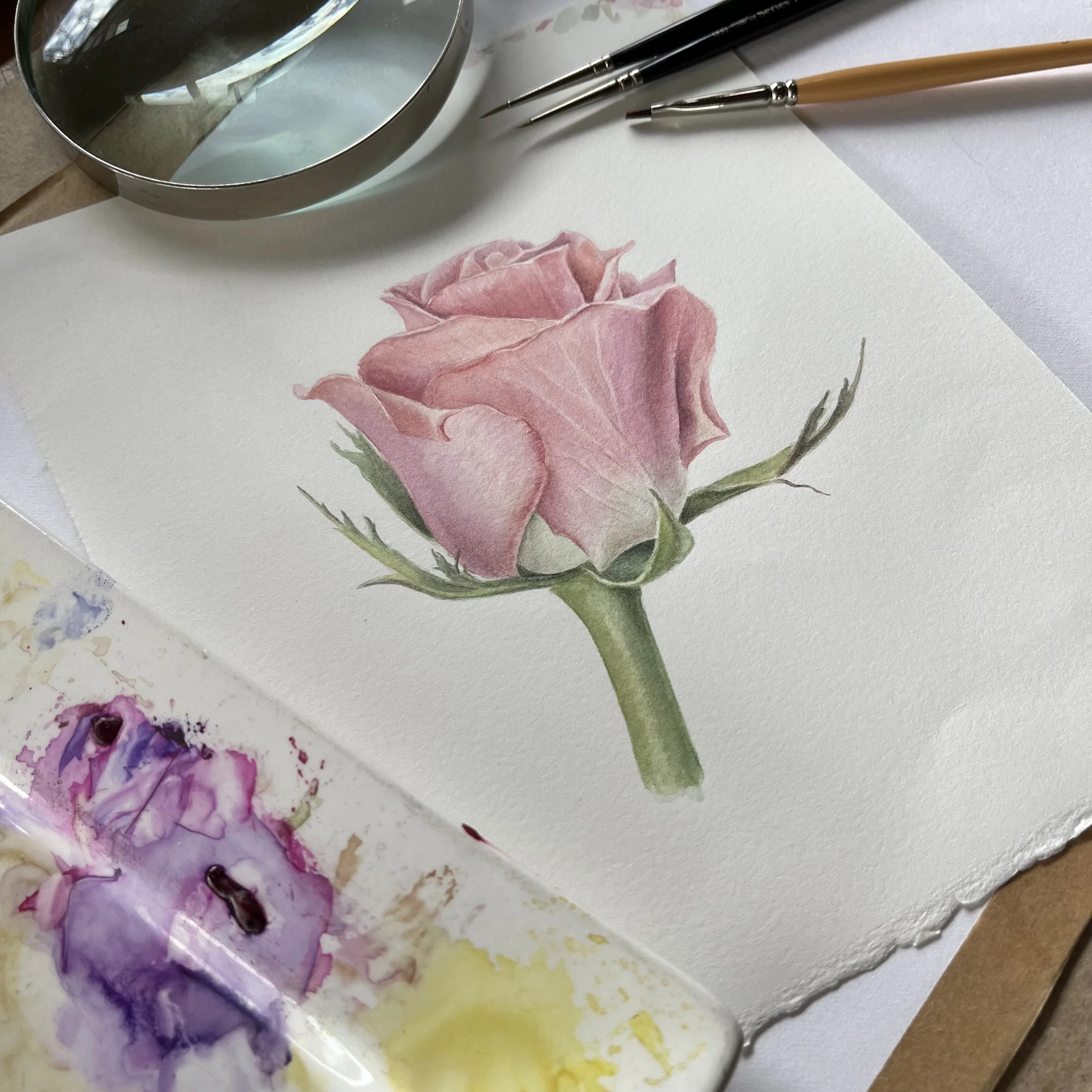Watercolour for Beginners - Lesley Alexander.jpeg