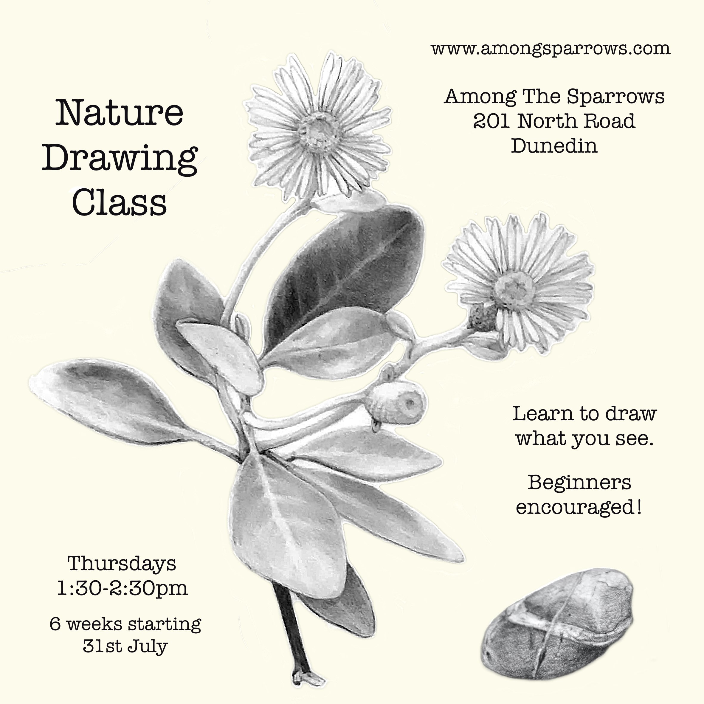 drawing-promo.jpg