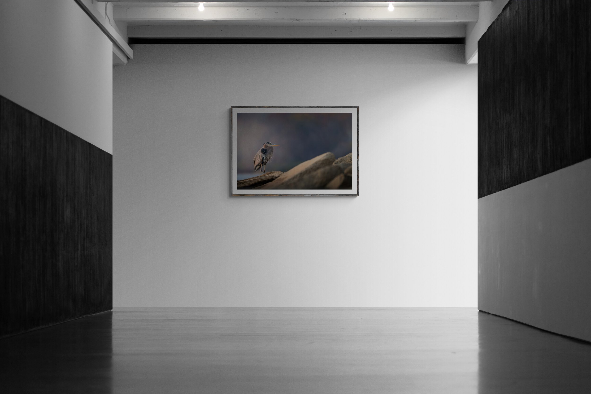 art-gallery-wall---37.jpg