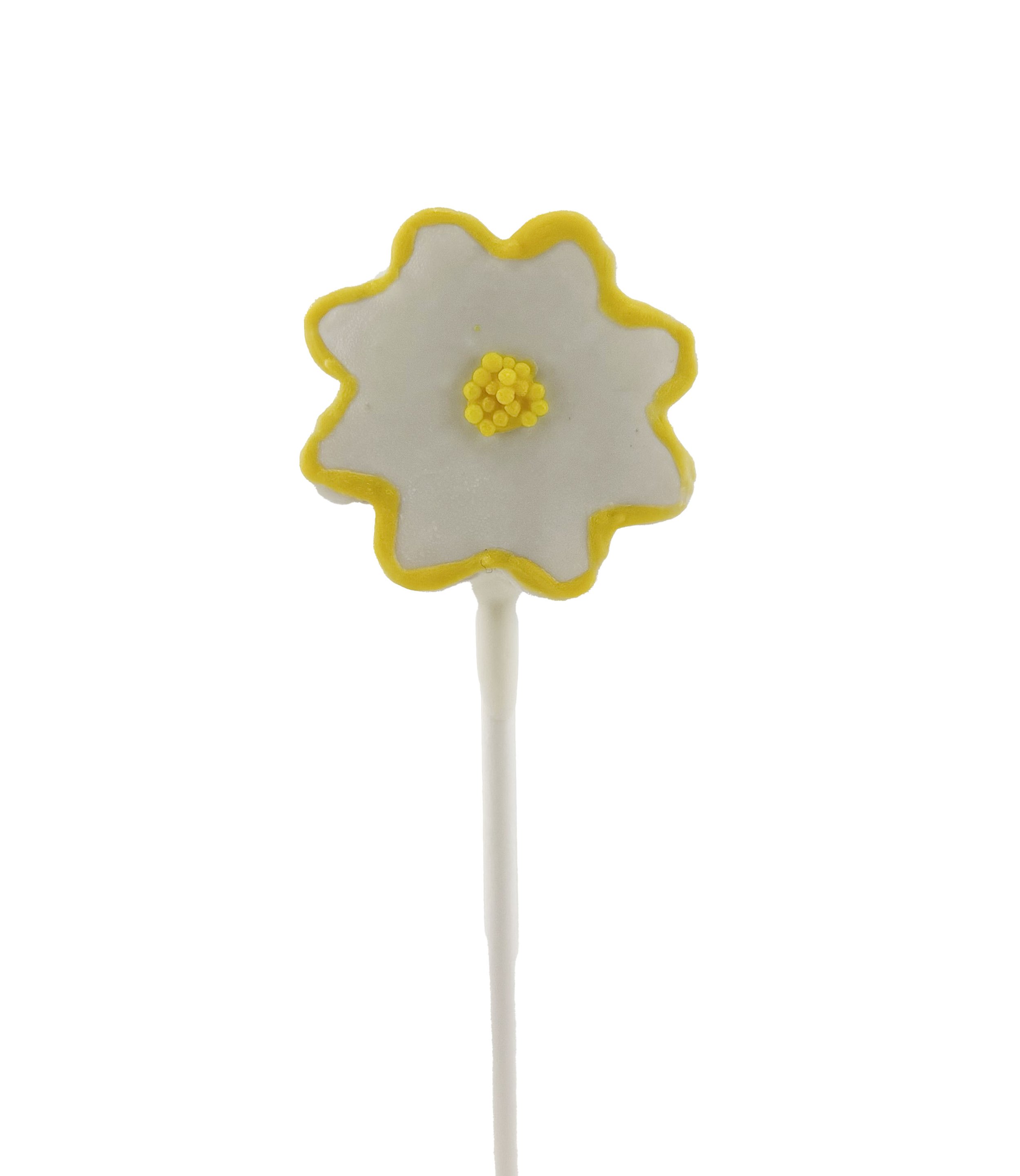 DAISY outside copy.jpg