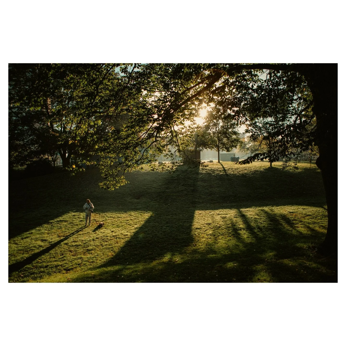 .
.
.
.
.
.
.
.
.
.
#shadows #morning #morninglight #naturallightphotography #canonphotography #canoneos6dmark2 #dentoniapark #torontoeast #eastendtoronto #torontoparks #landscapephotographer