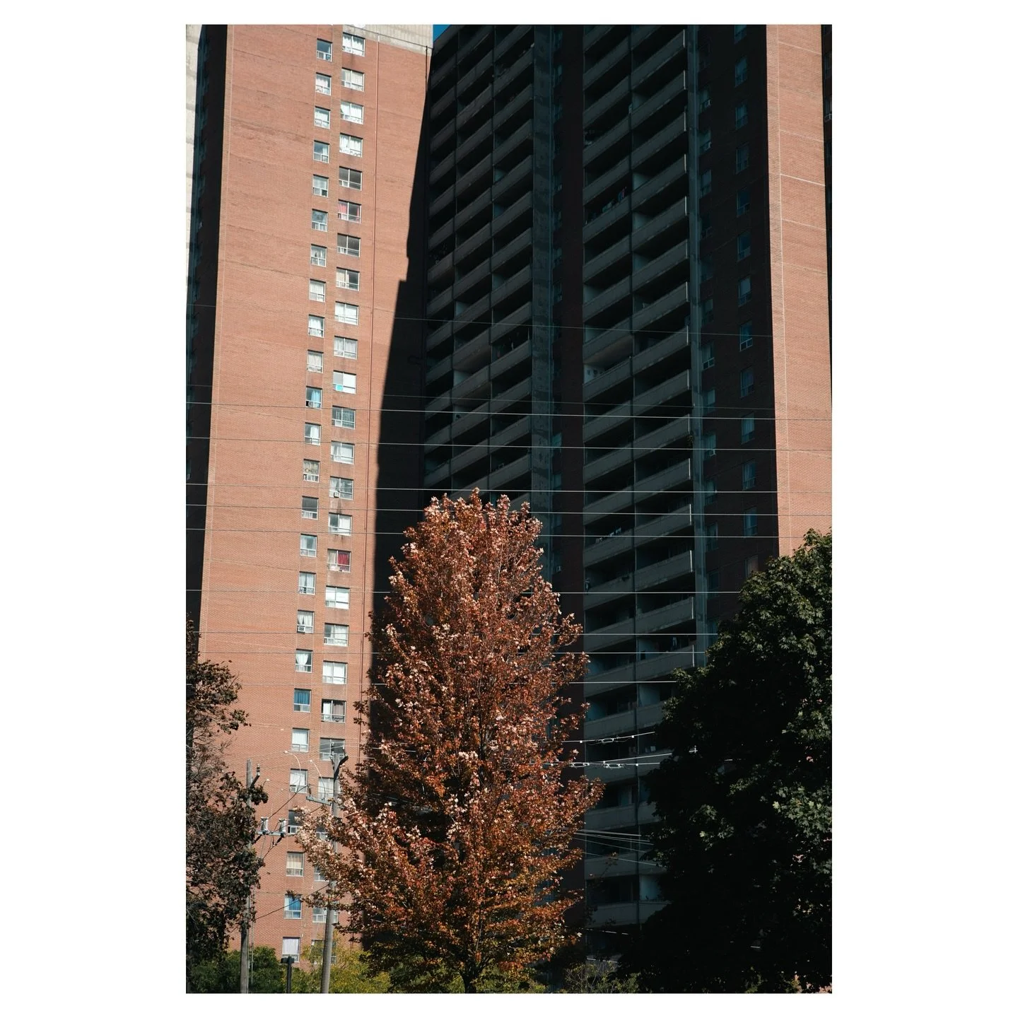 .
.
.
.
.
.
.
.
#autumn #fallseason #seasons #foliage #crescenttown #eastyorktoronto #eastendtoronto #torontoeast #architechture #toronto