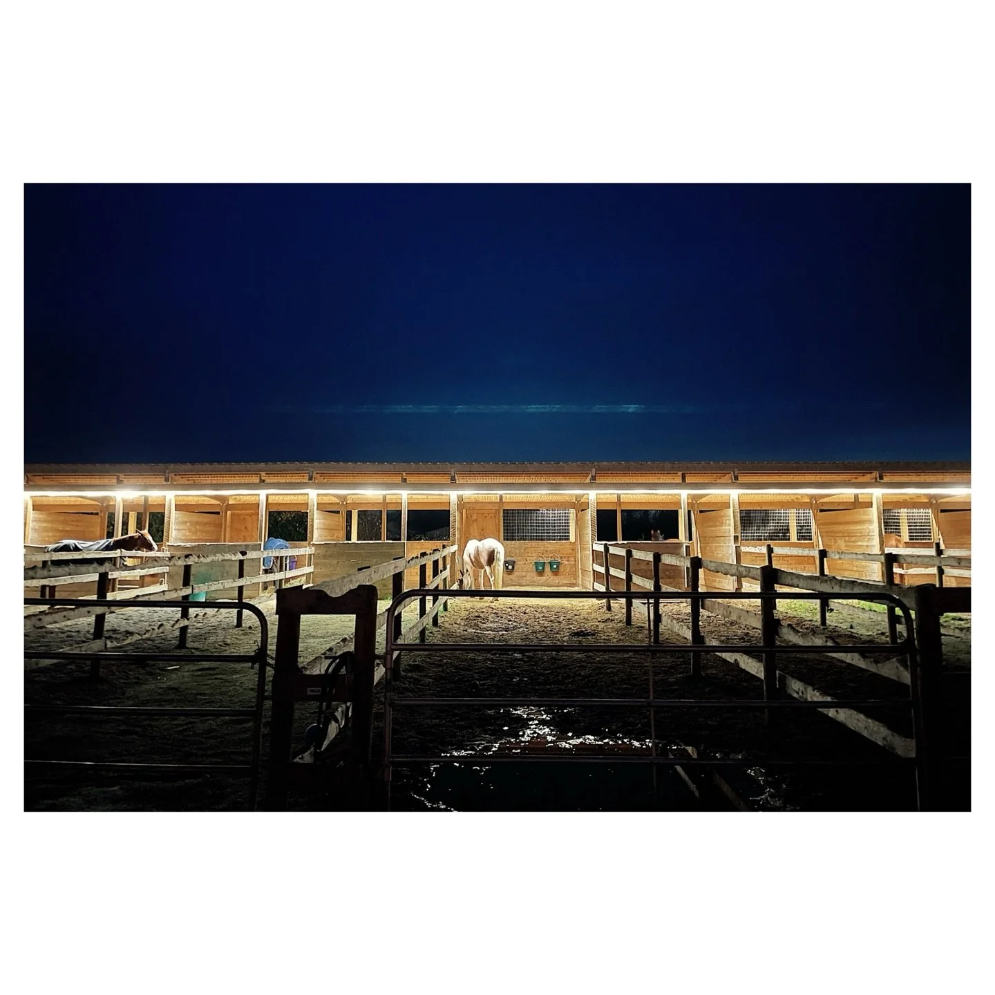 .
.
.
.
.
.
.
.
#shotoniphone #iphonephoto #britishcolumbiacanada #horseranch #nightshoot #nighttime #night #horsesofinstagram #deltabc #outdoors #nightout