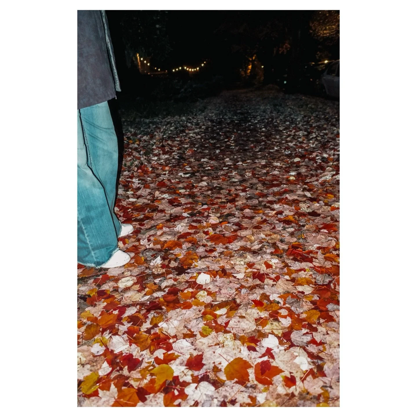 .
.
.
.
.
.
.
.
#autumn #fall #fallfoliage #leaves #fallenleaves #vancouver #vancouver_canada #explorevancouver #streetpics