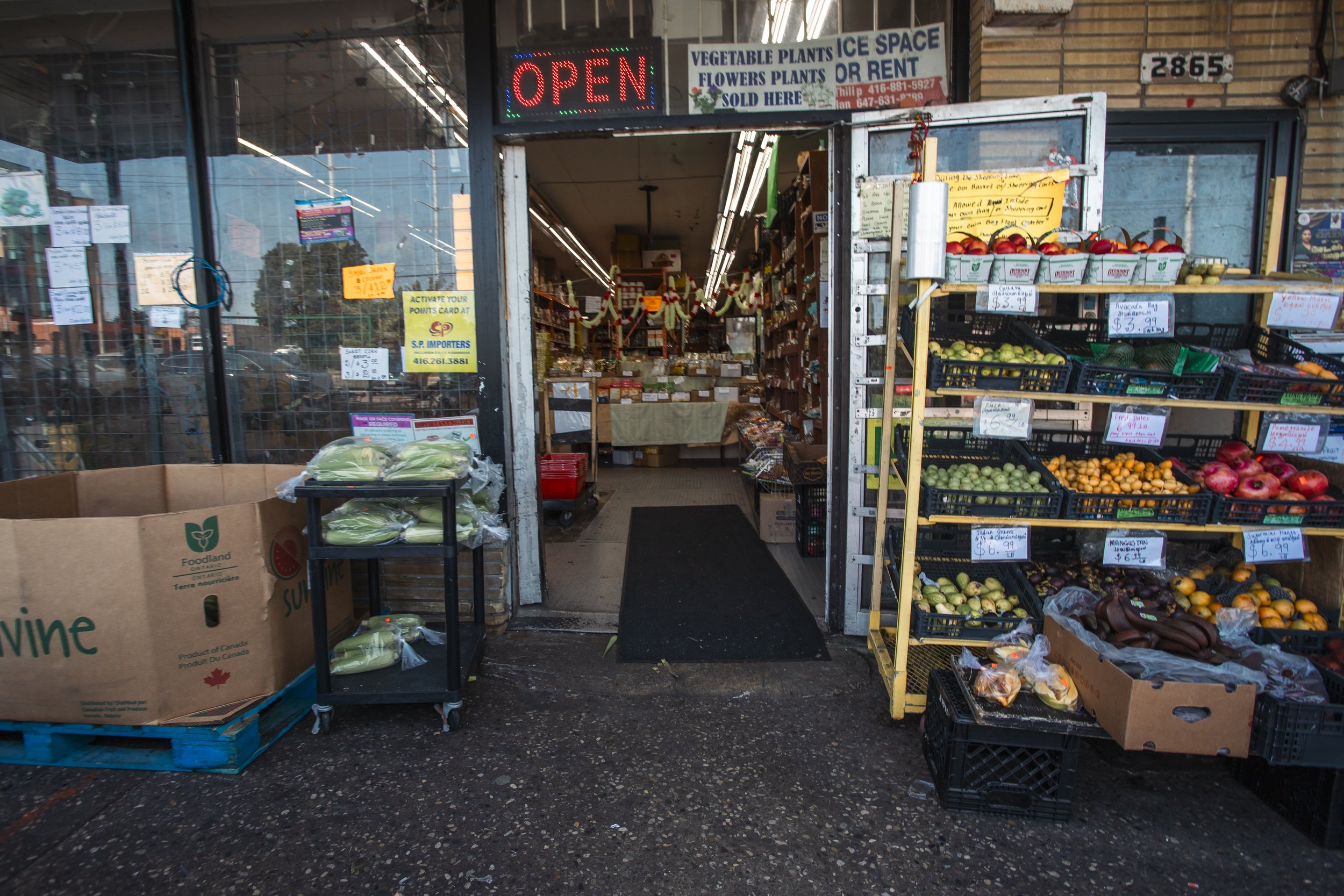 scarborough-with-faizaan-sep142024-28.jpg