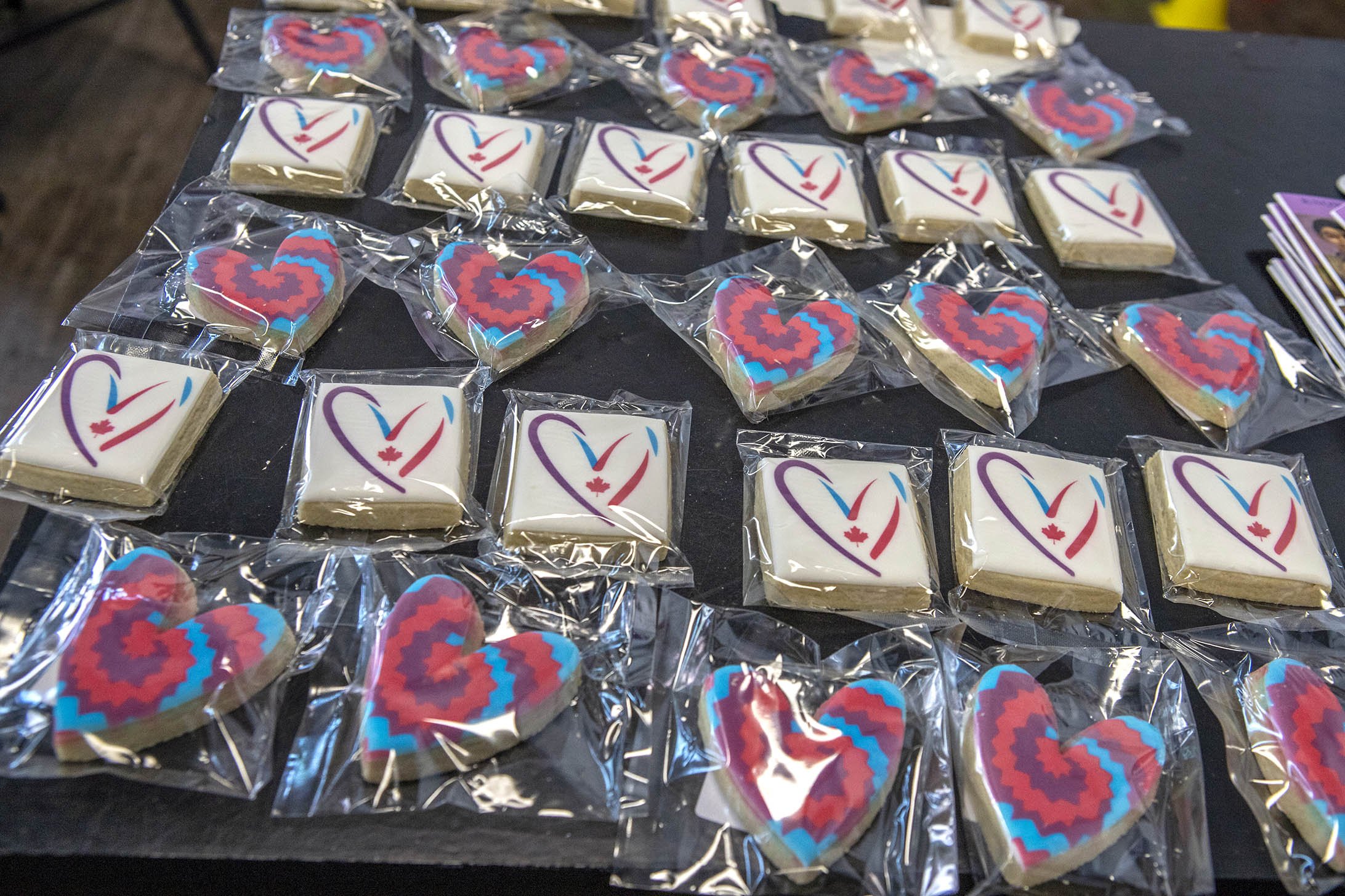 cdls-awareness-day-event-may112024-61.jpg