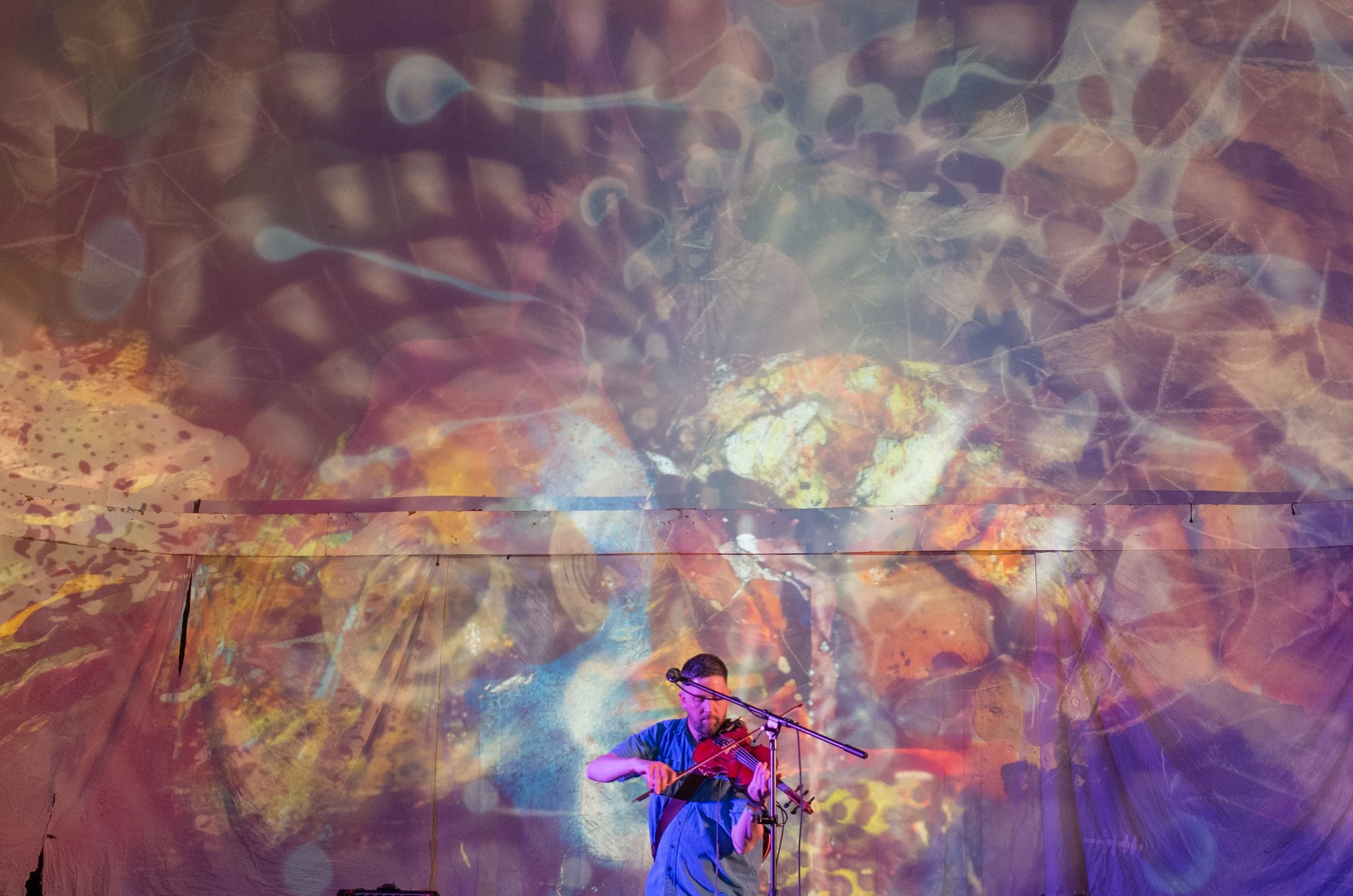 owen-pallett-march2025.jpg