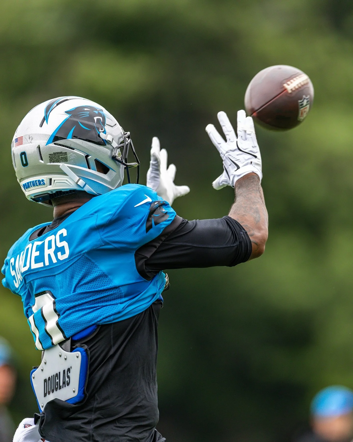 Panthers 3.0