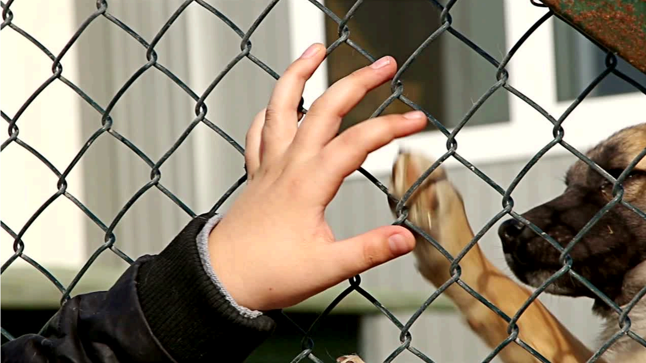 A child finds her perfect best friend at a local charity.