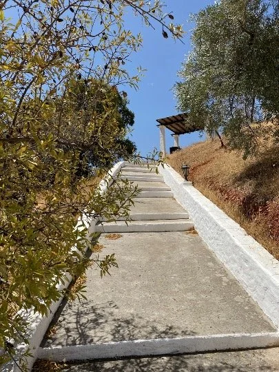 Outside e.jpg