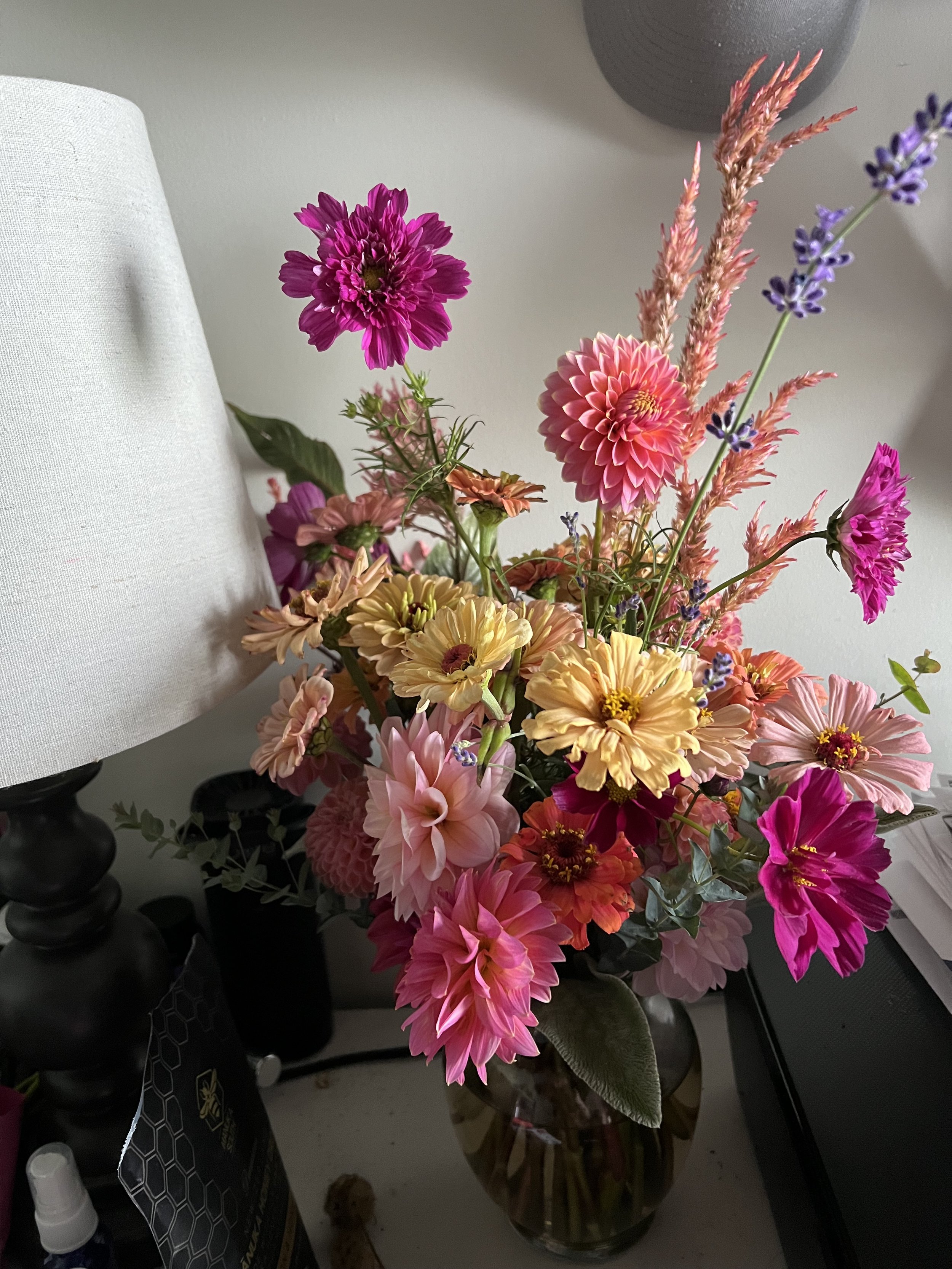 IMG_0729.jpeg