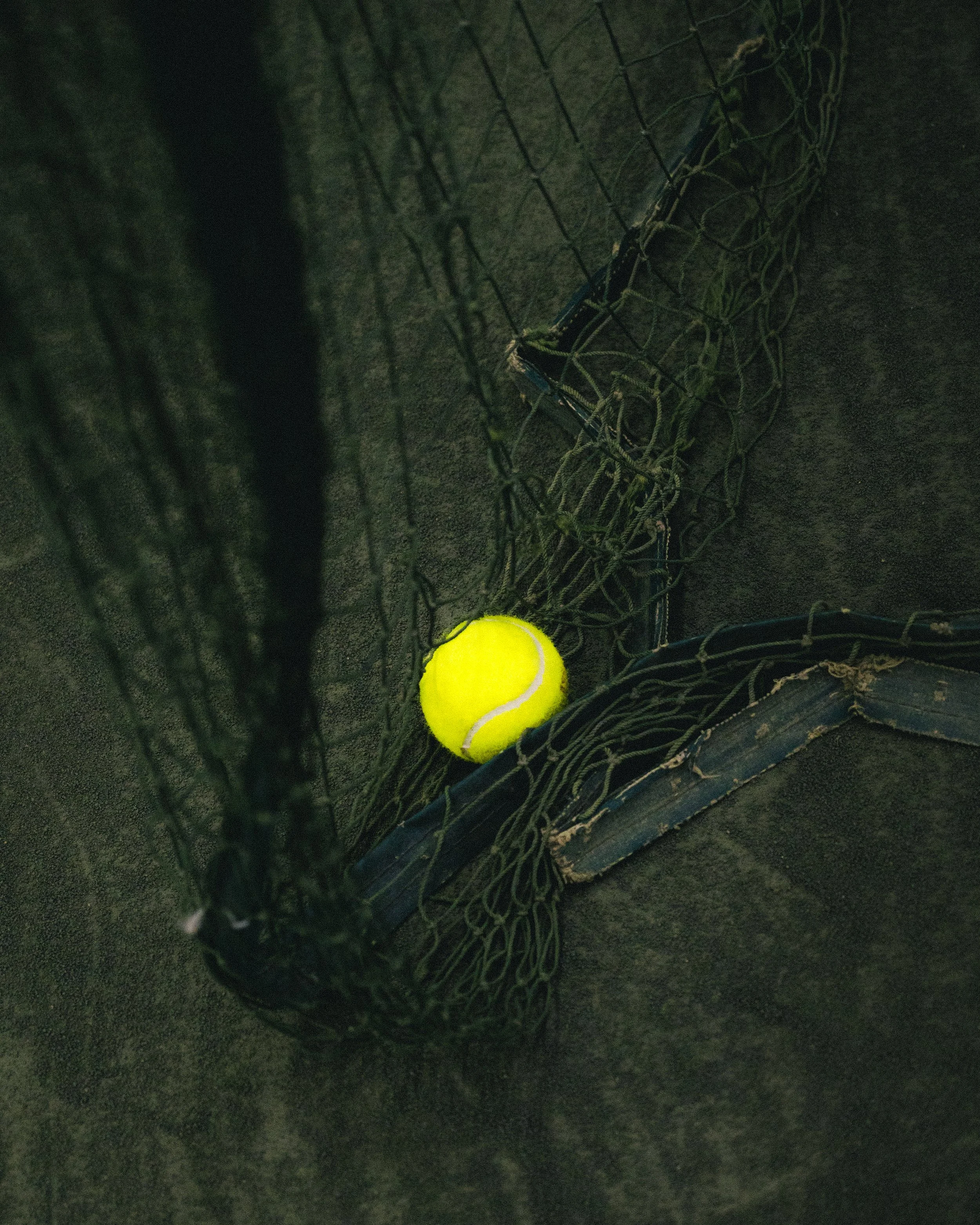 NFC_0469.jpg