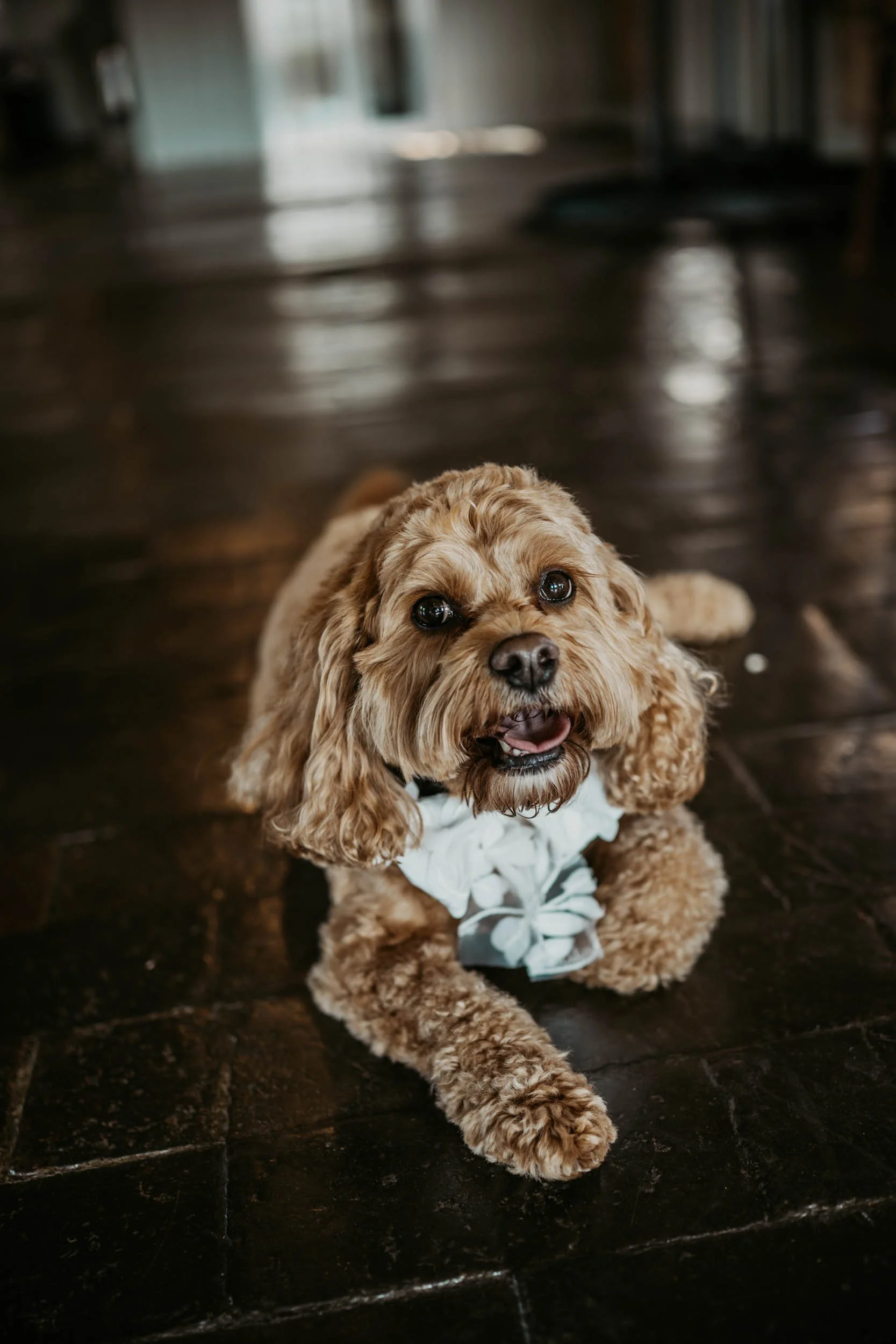 West Mill Photography (25).jpg