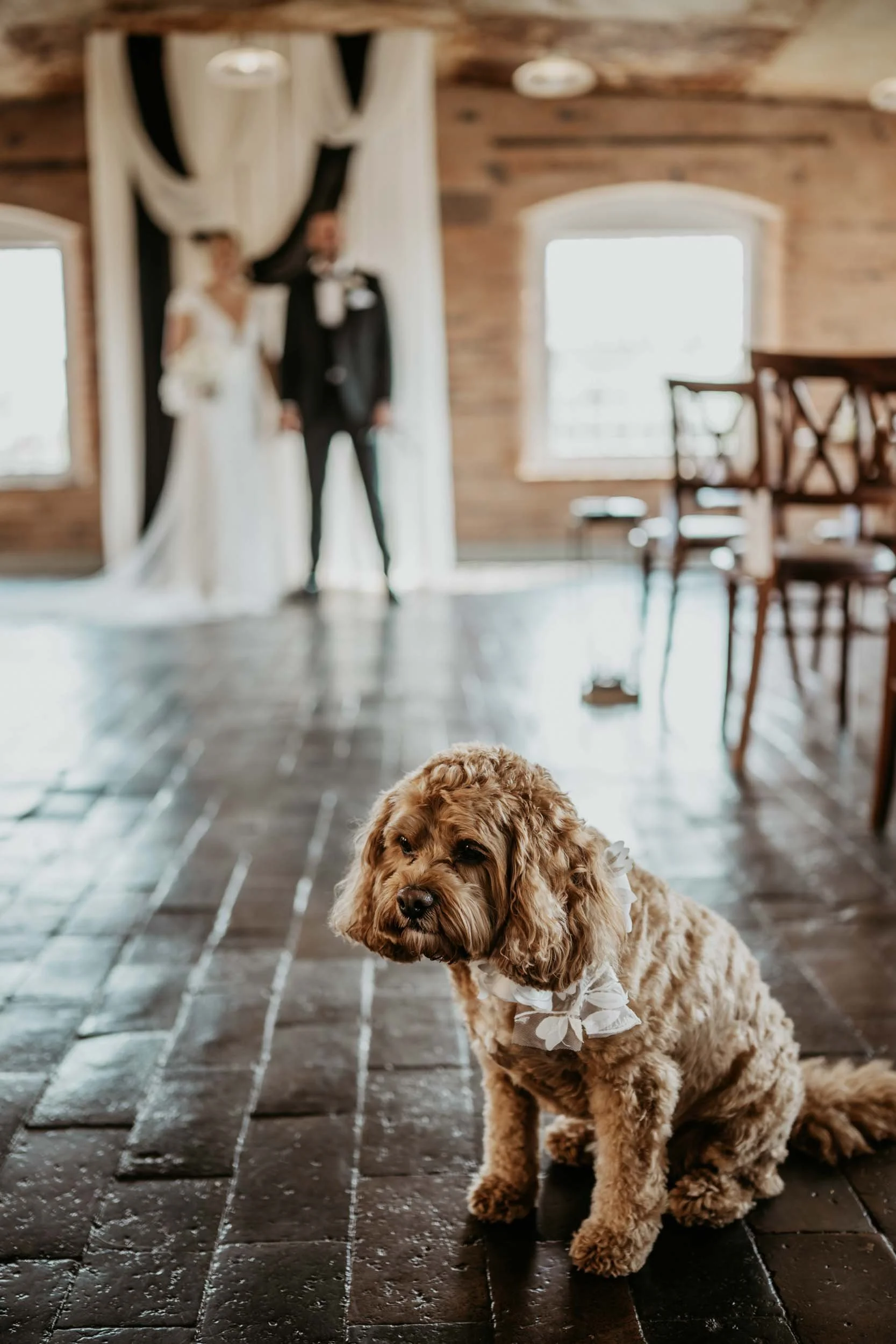 West Mill Photography (21).jpg