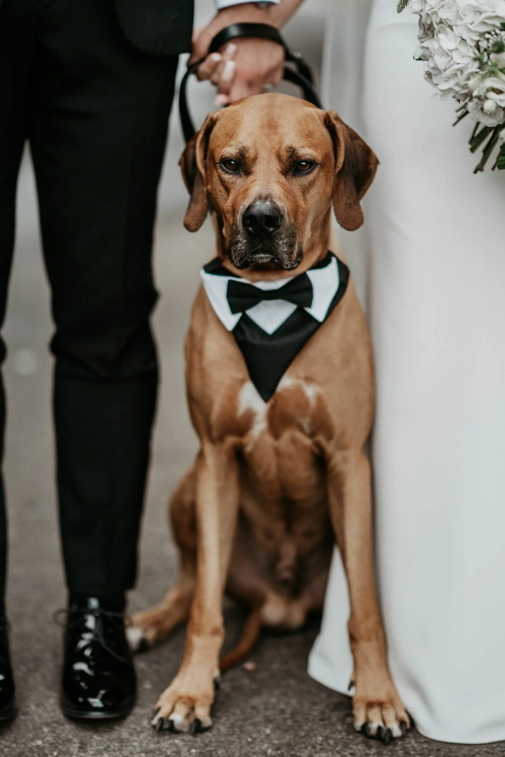 THE NORMANS - BECKY & LUKE (34).jpg