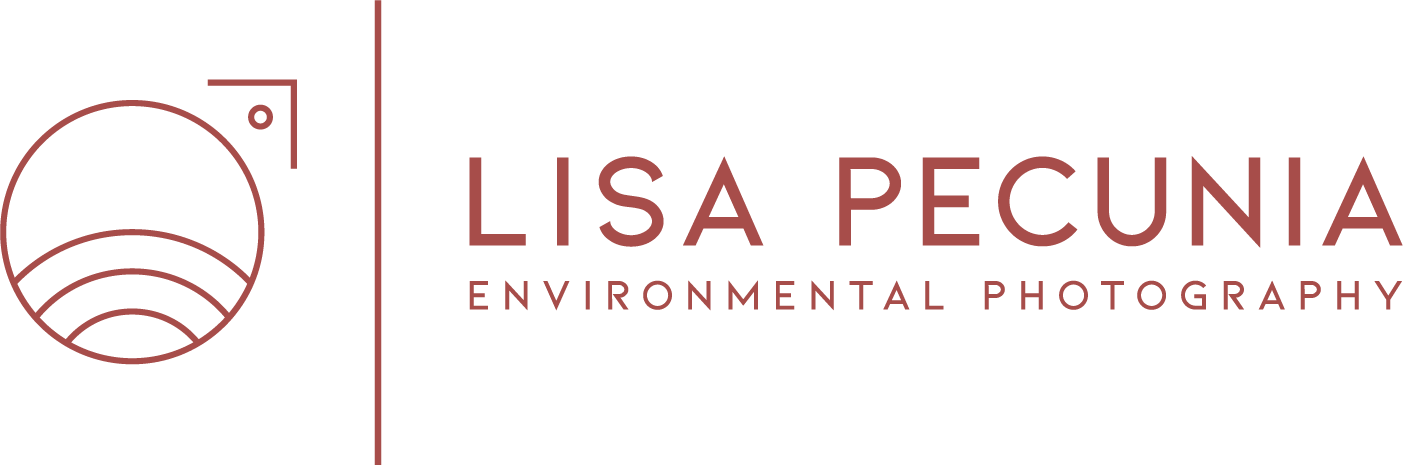Lisa P Photography