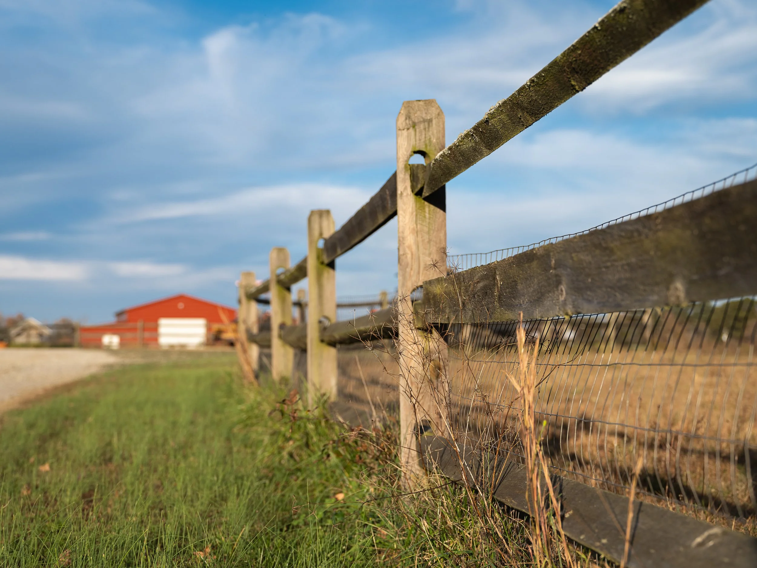 Lake Fungs Farm, Disputanta VA