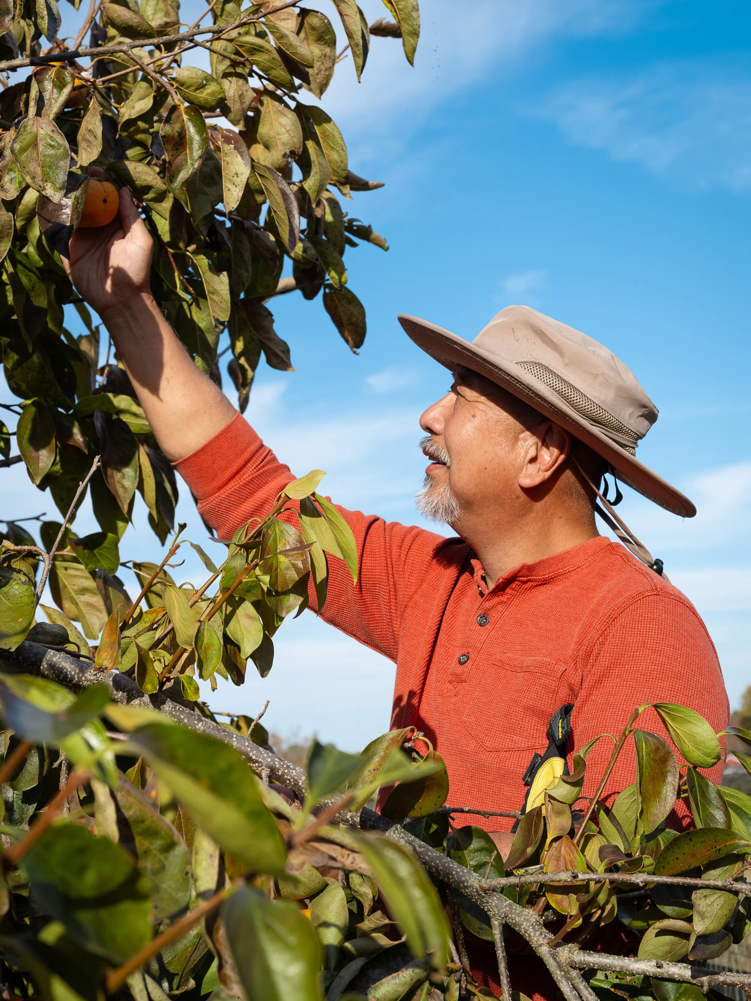 Duncan Fung, Lake Fungs Farm, Disputanta VA