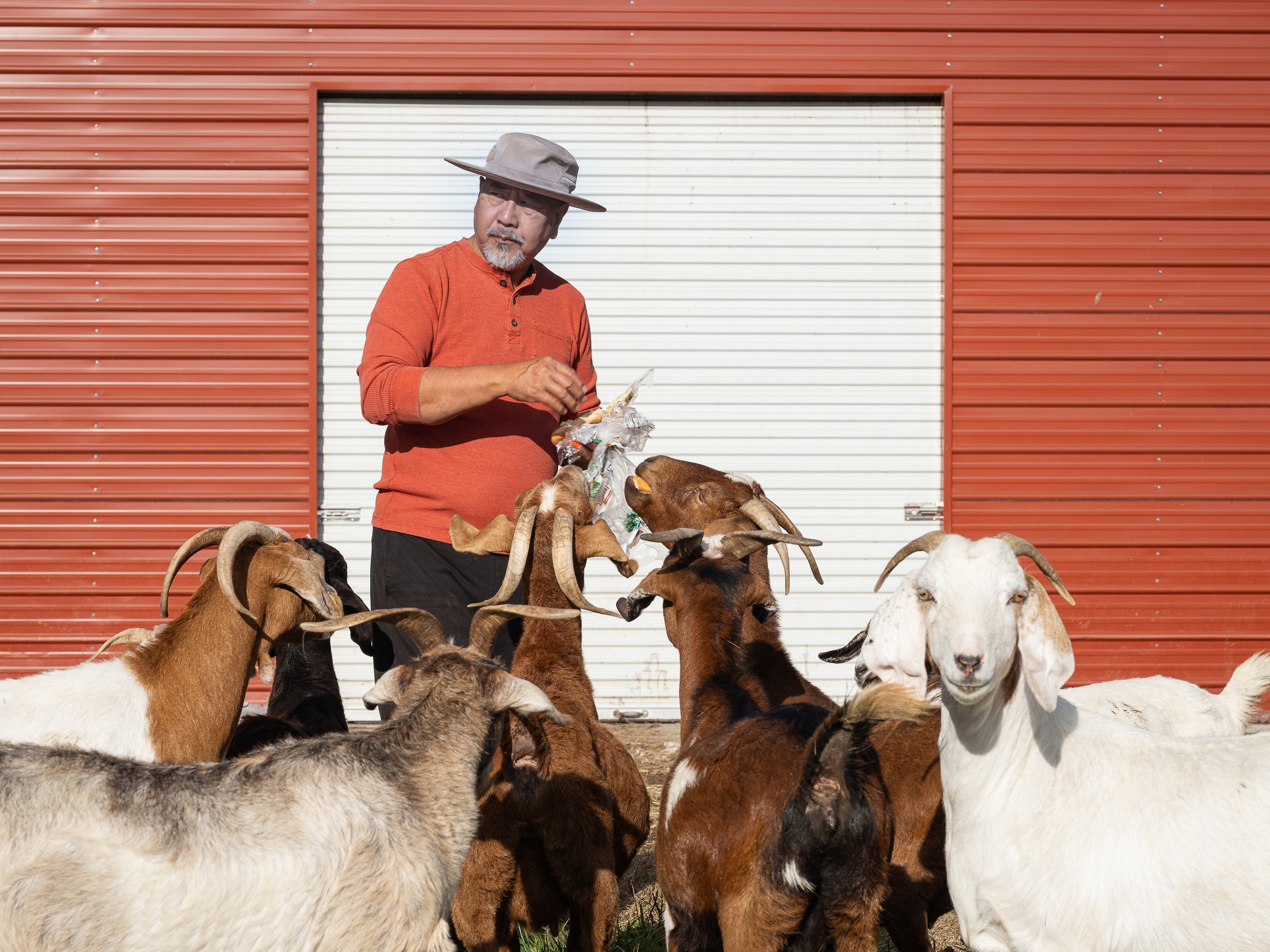 Duncan Fung, Lake Fungs Farm, Disputanta VA