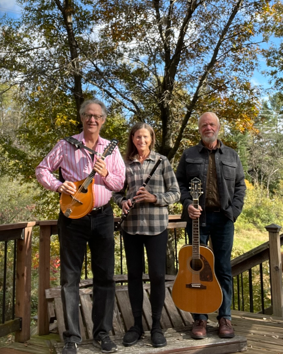 The Elderberries- Musician Trio