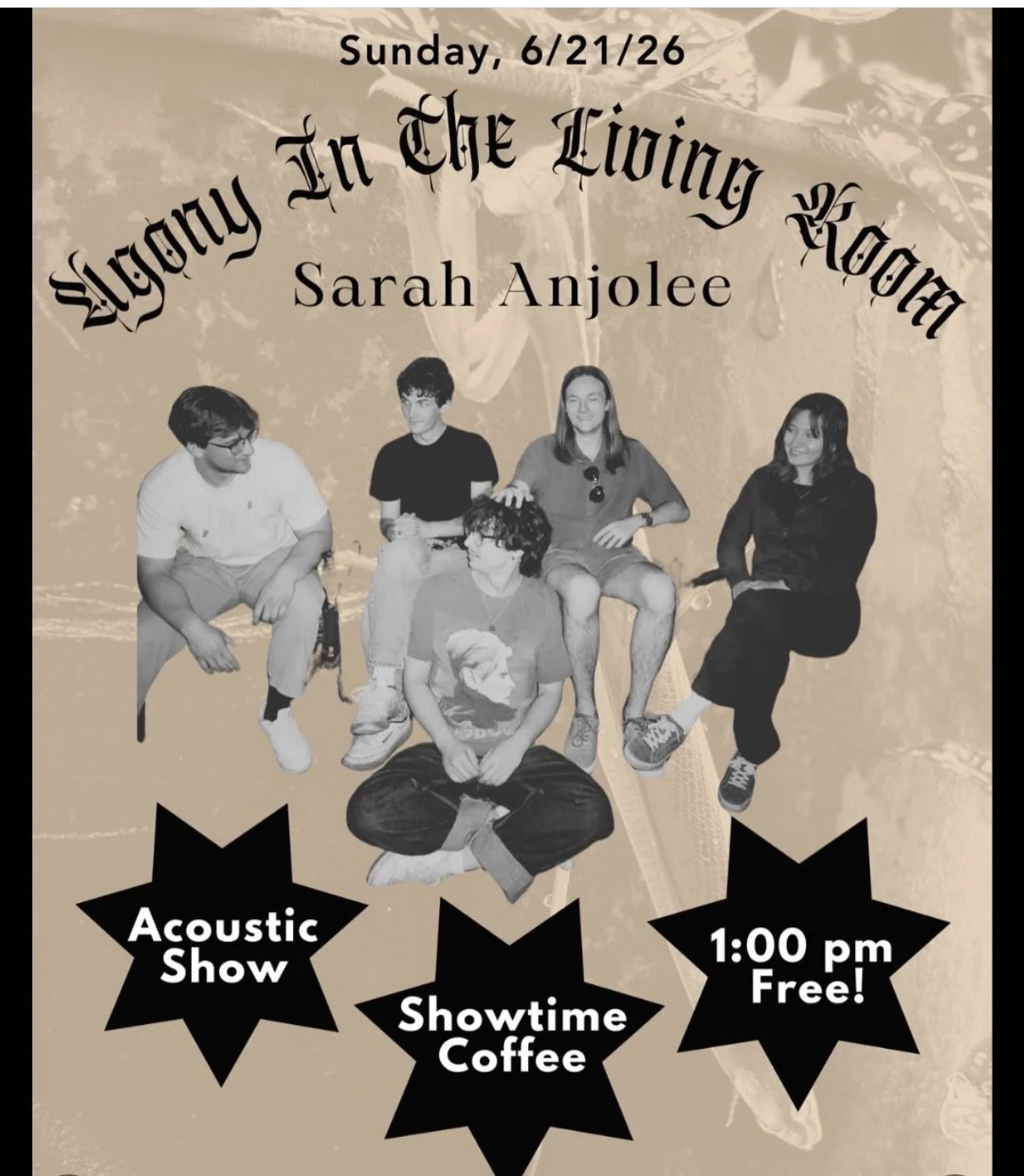 Agony in the Living Room- Acoustic-Indie Band