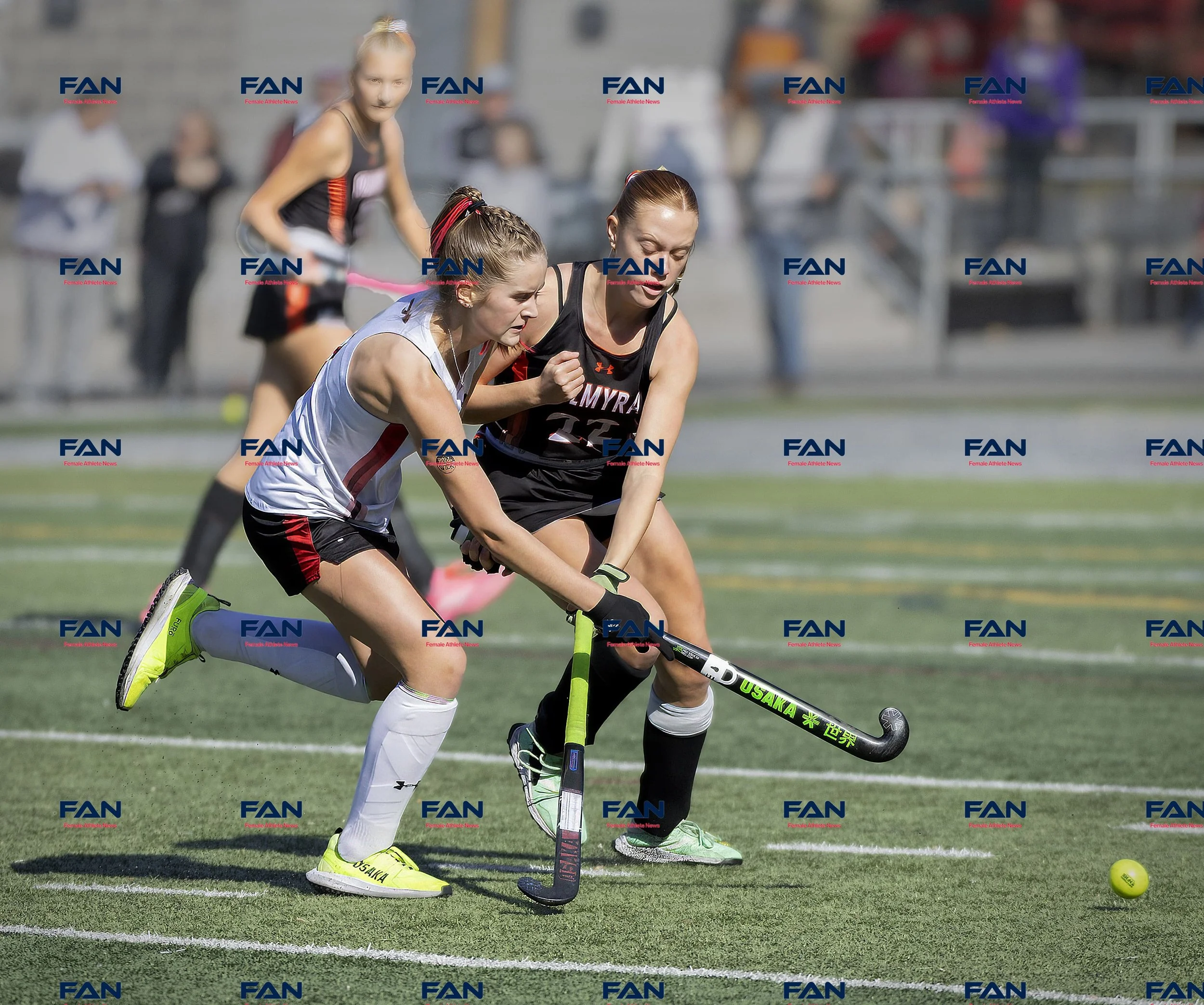 WWvsPAL11-1-25037-min.jpg
