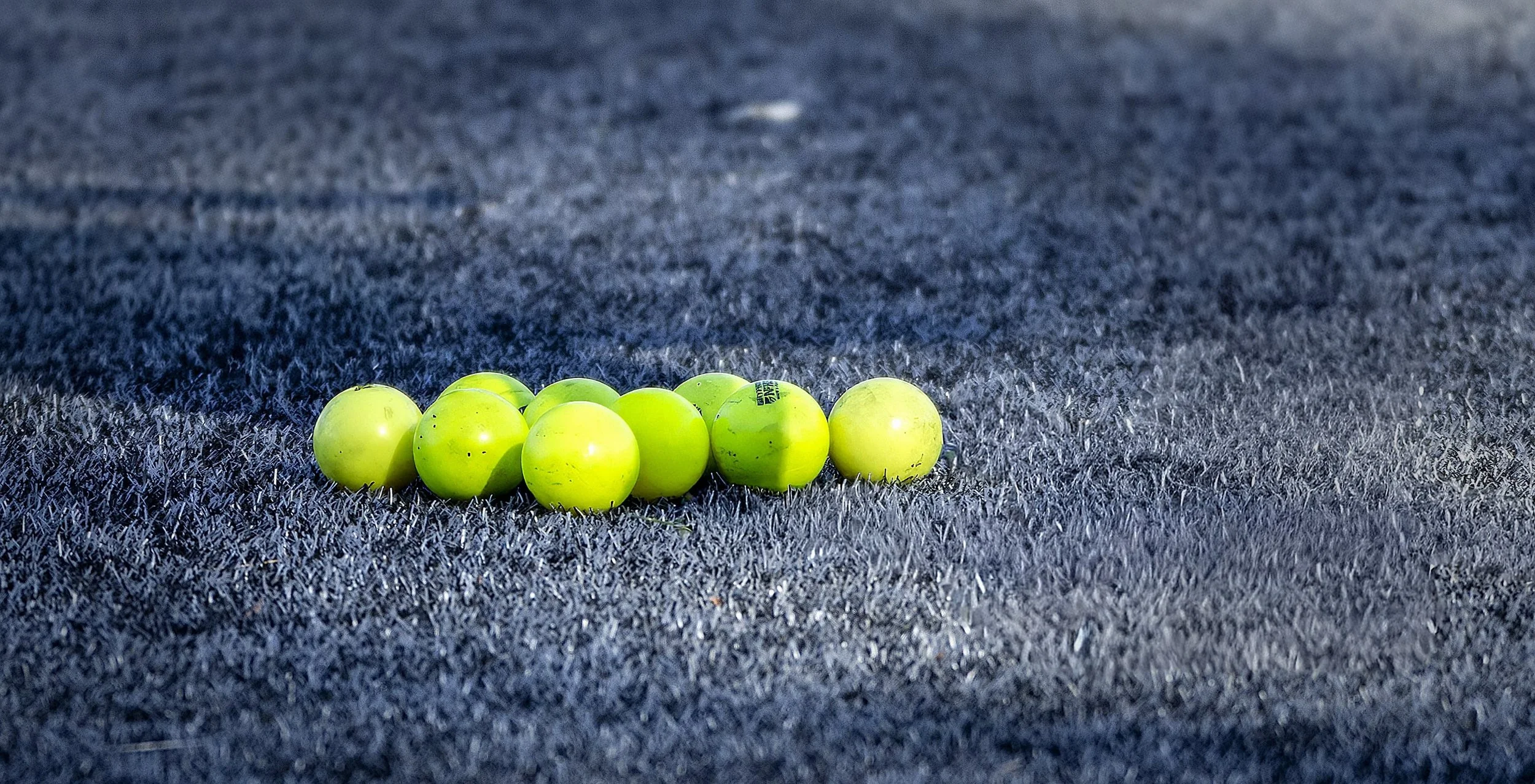 Selinsgrove field hockey District IV Class 1A champions 