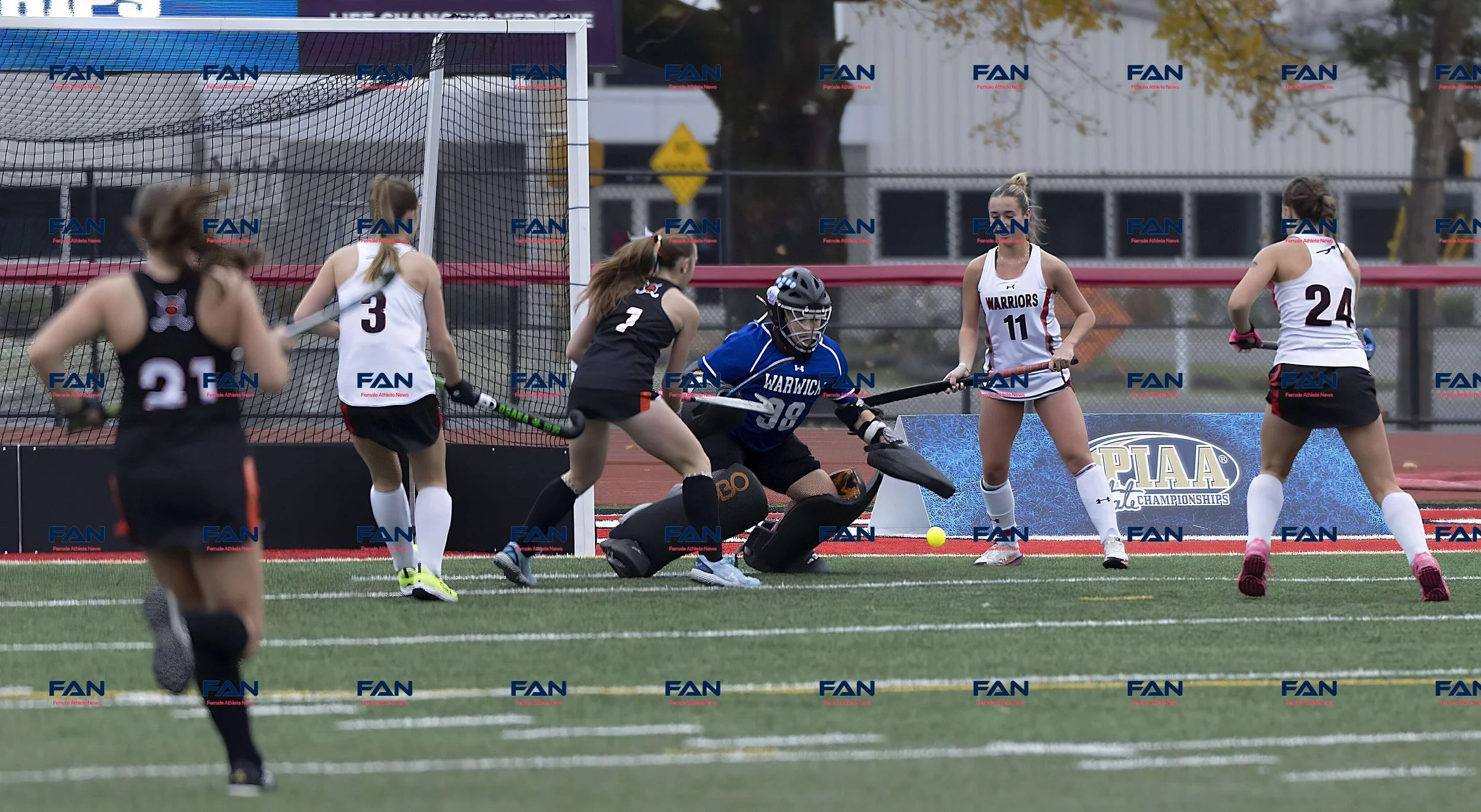 PalvsWW111525043.jpg