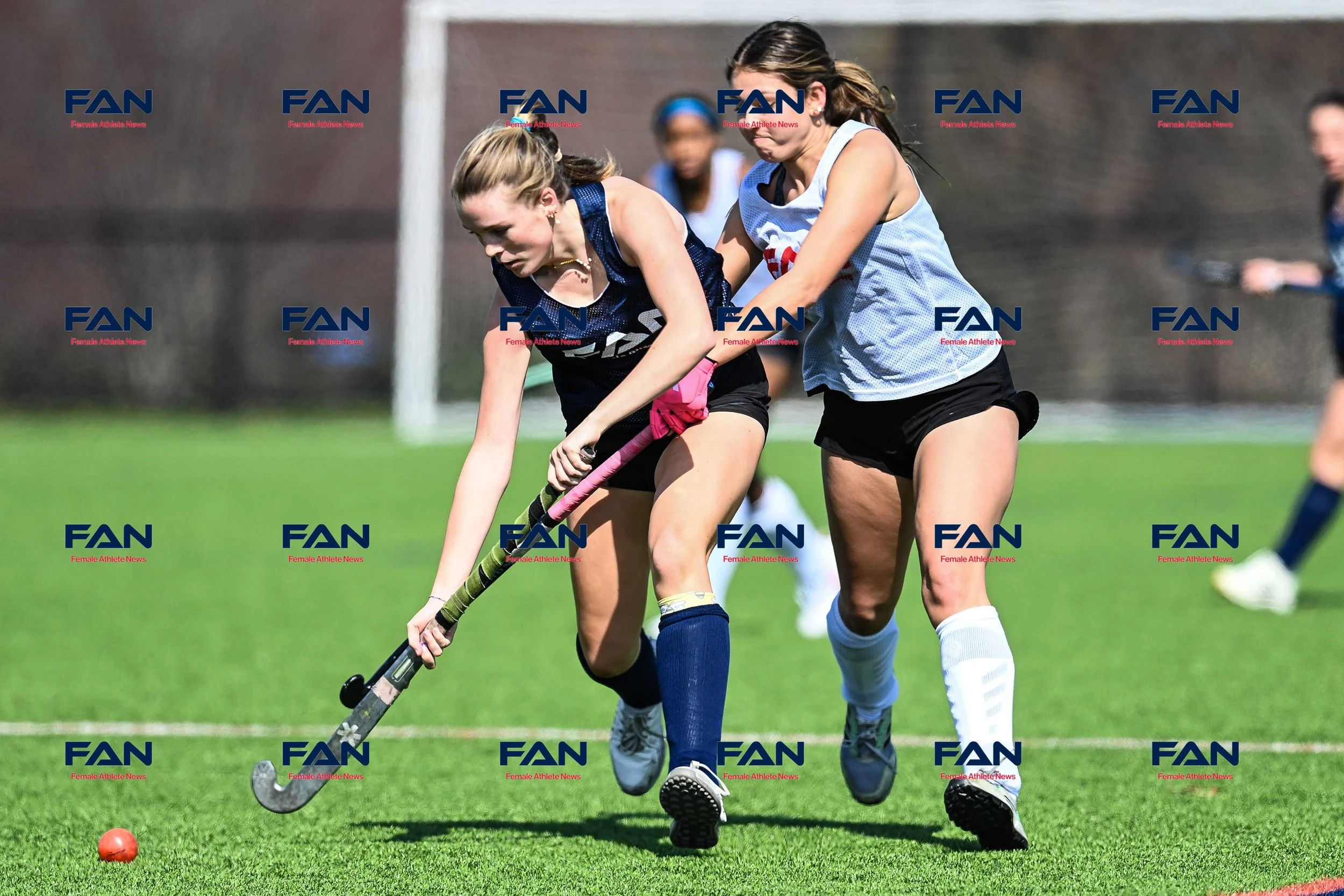 Now hosting FAN’s full photo gallery on SmugMug